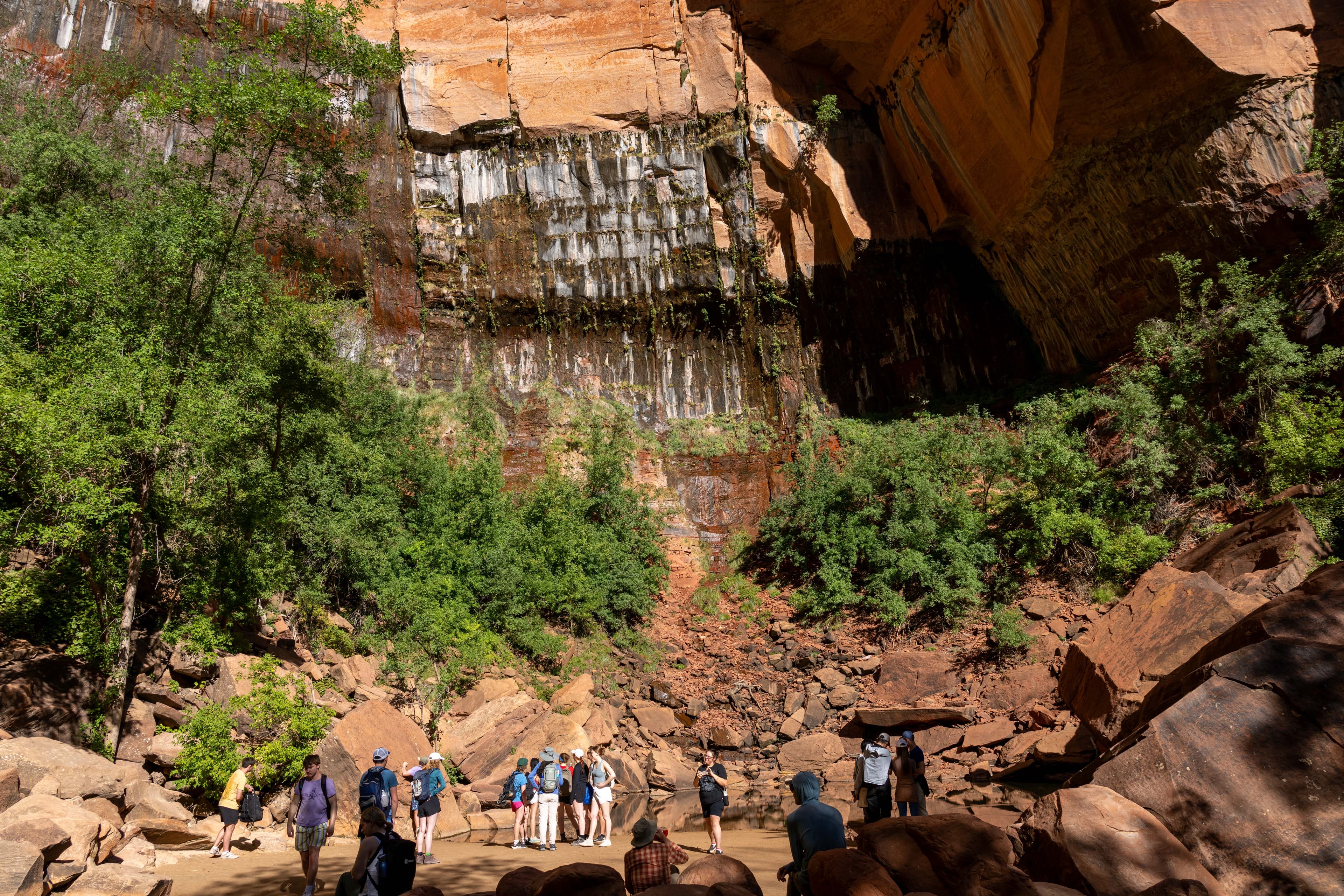 A large group of people near a pool of water with green trees and an orange sandstone cliff face