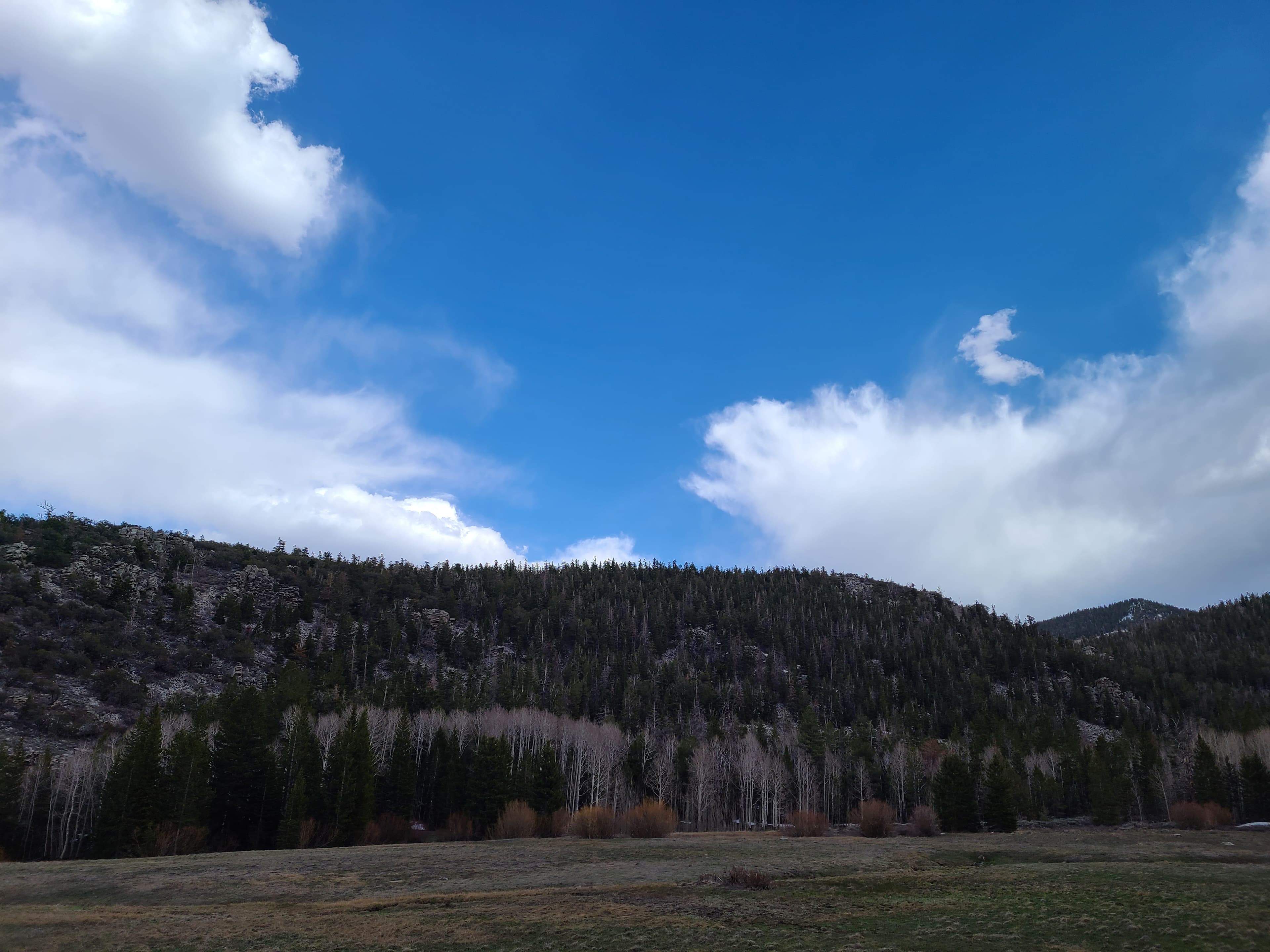 A green and brown meadow sits flat beneath a rising, tree covered mountain with patchy blue sky.
