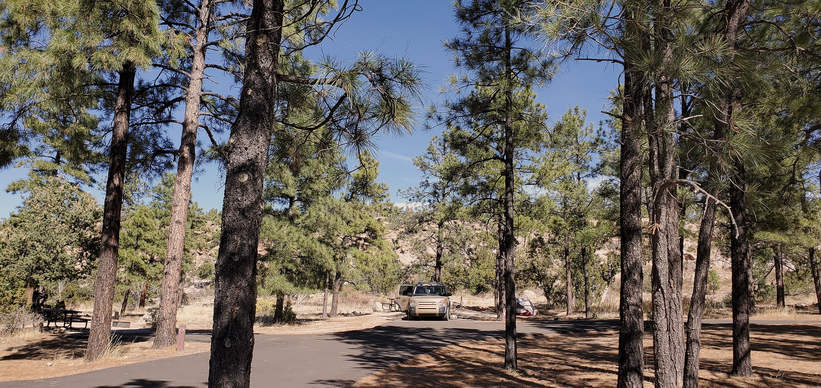 Tall pine trees blanket the Juniper Campground.