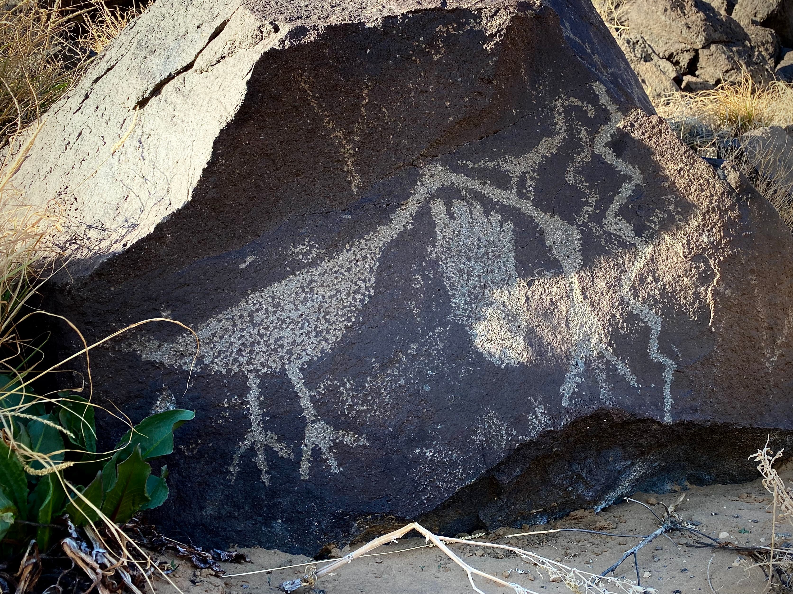 A petroglyph of a bird and a footprint on a dark volcanic boulder.