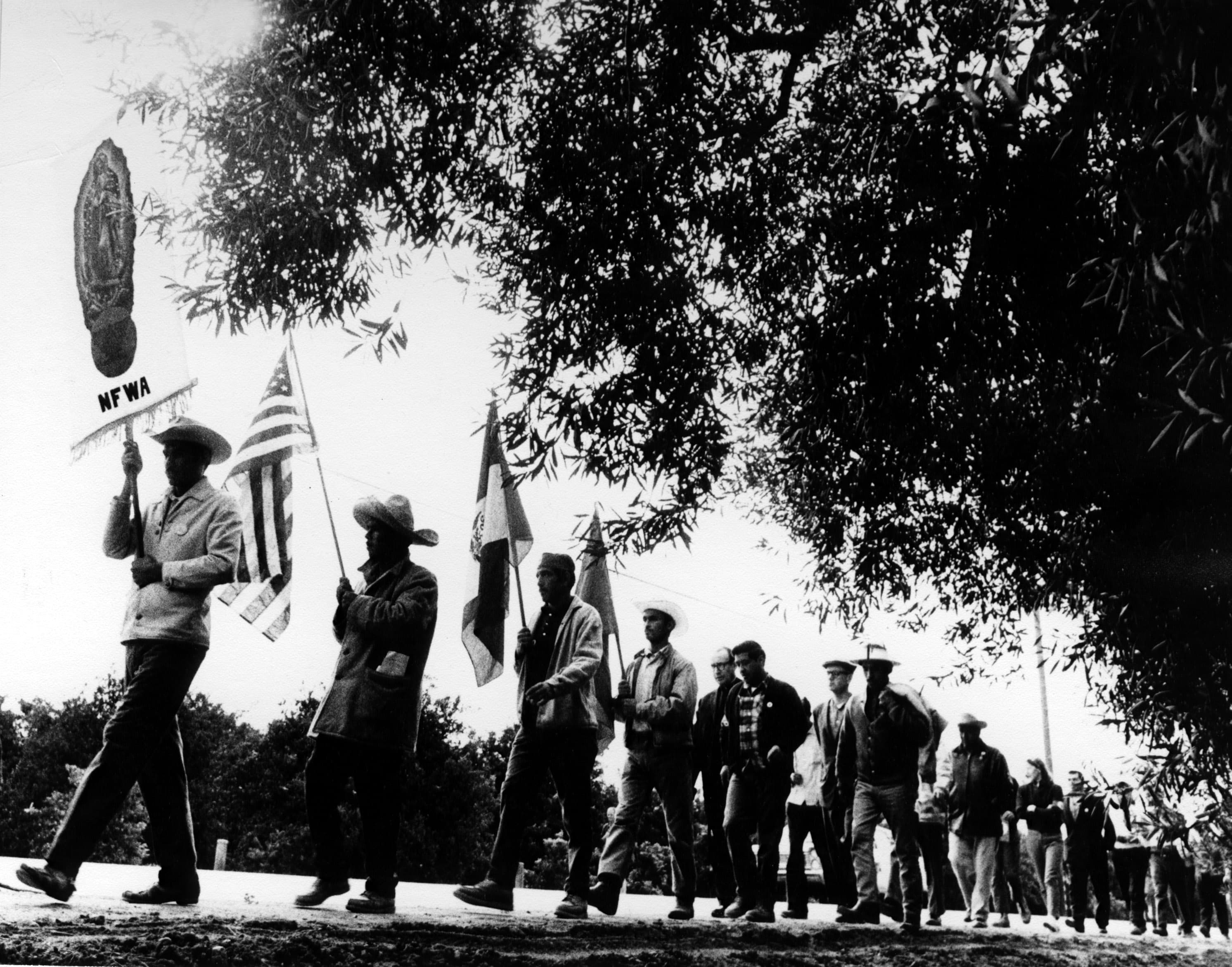 People marching on a tree-lined street. Several are carrying flags or banners.
