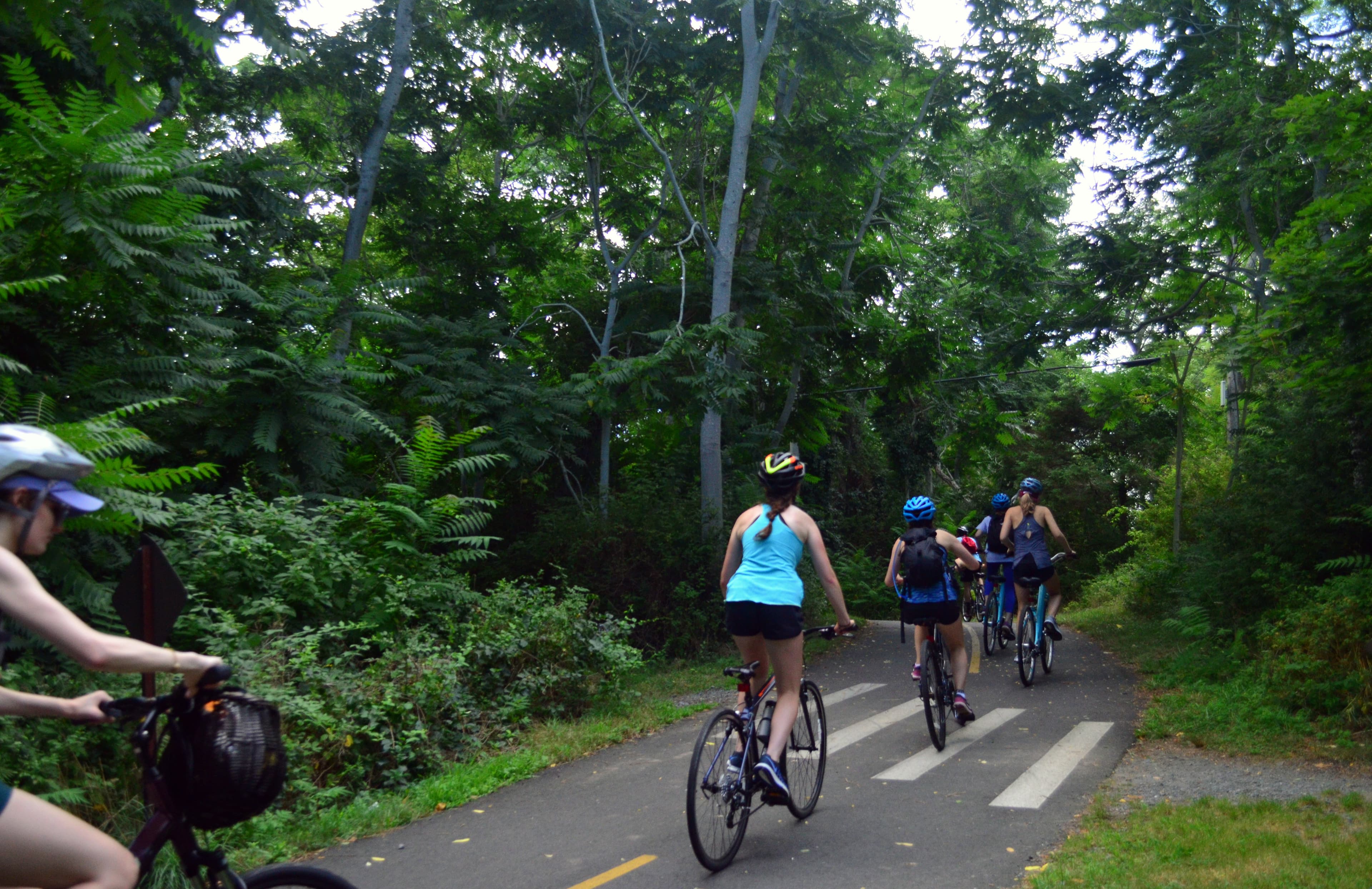 Bicyclists with helmets ride along a paved wooded trail lined with trees.