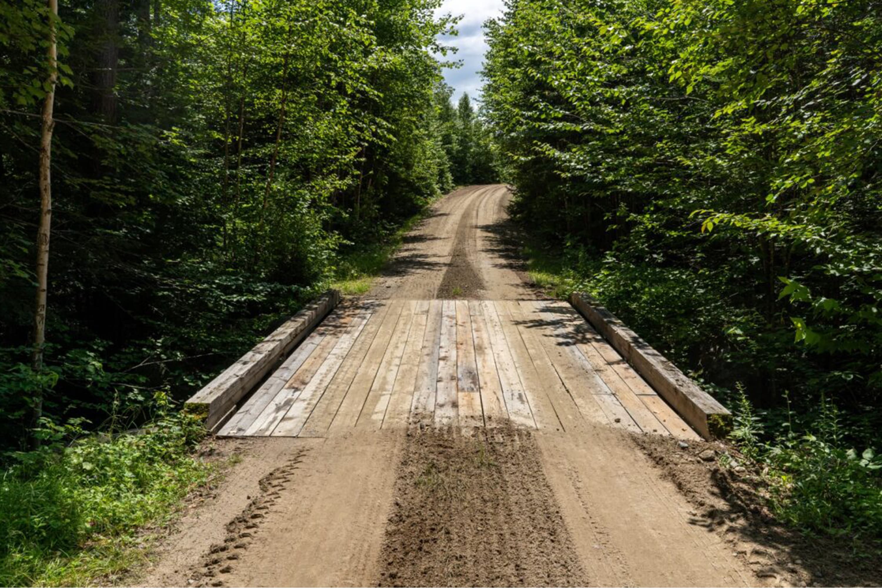 A small wooden bridge connects the rocky dirt road through the forest into the distance.