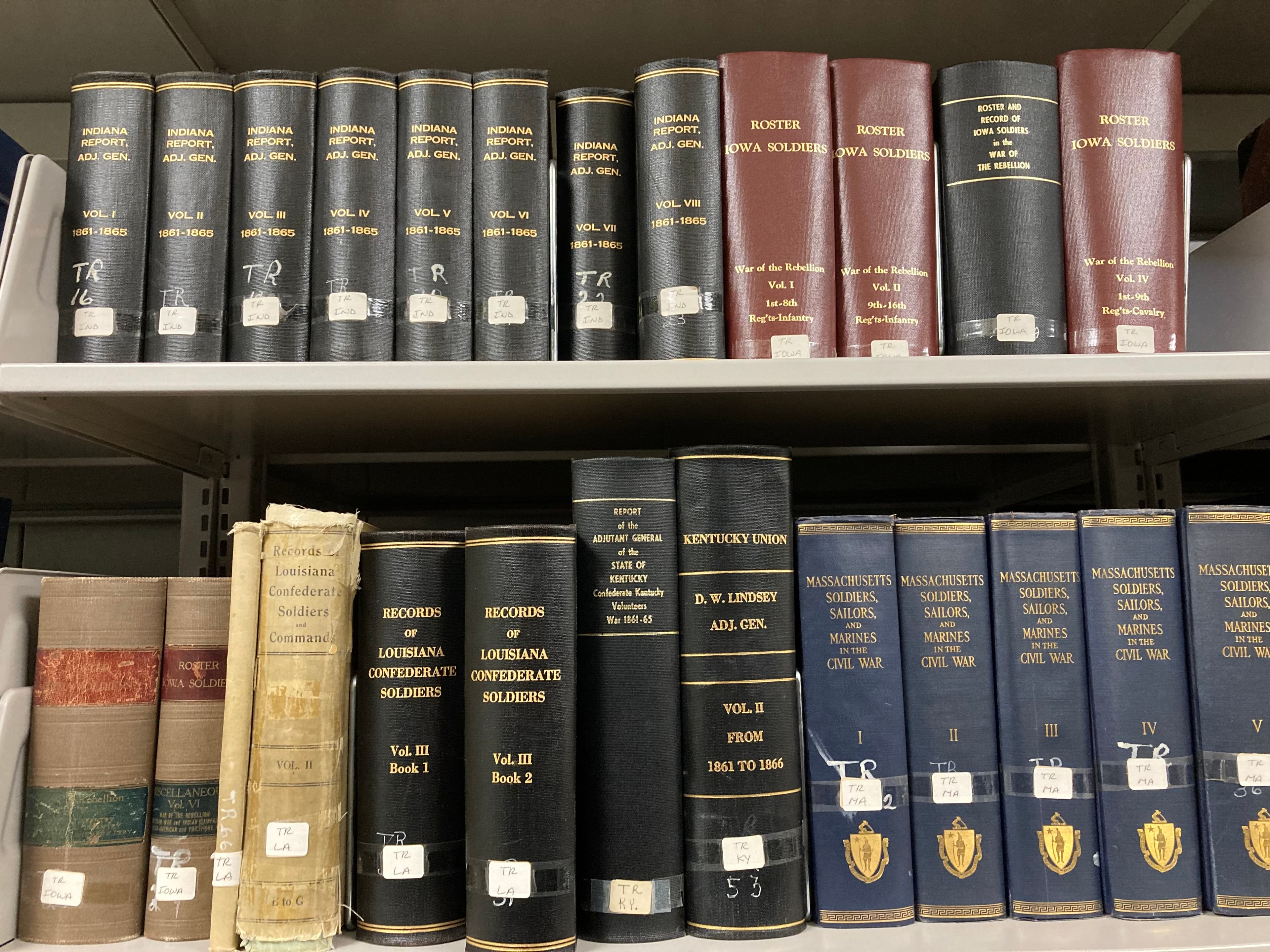 Two shelves of thick research books