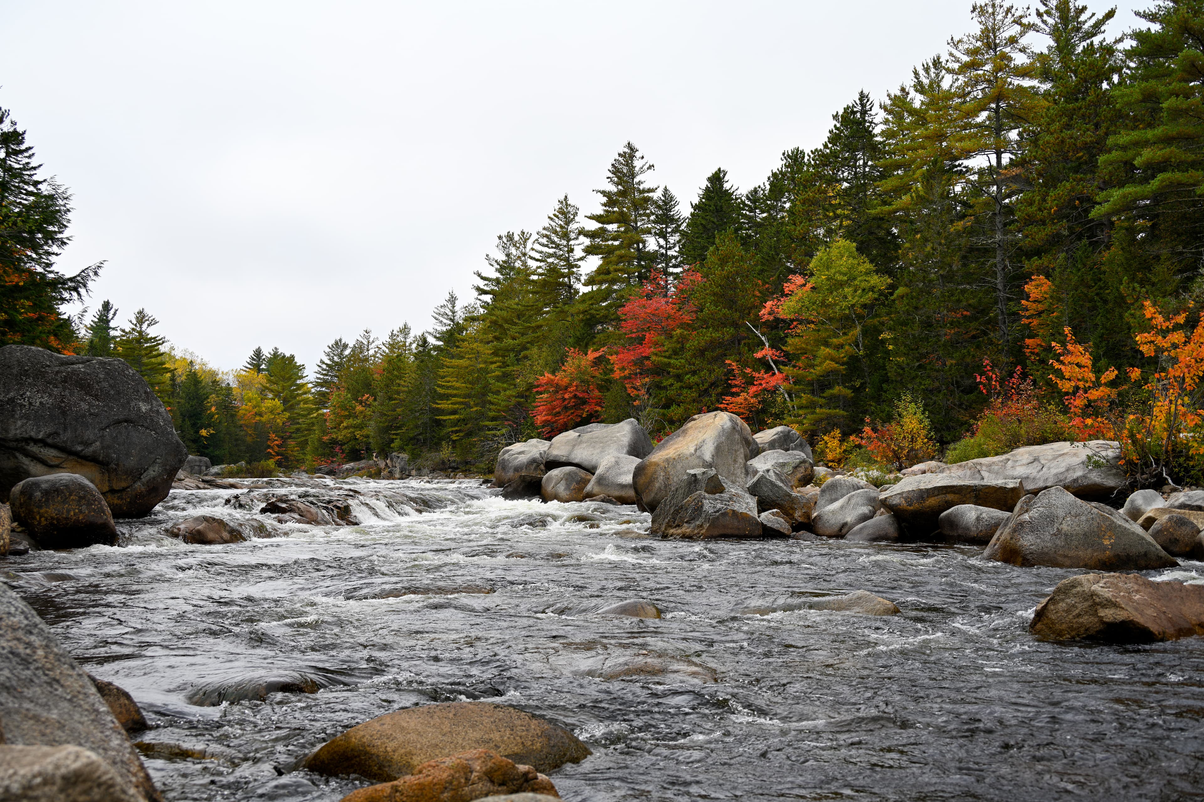 Tierd rapids made of large glacial rocks form Orin Falls. The stream is surrounded by forest.