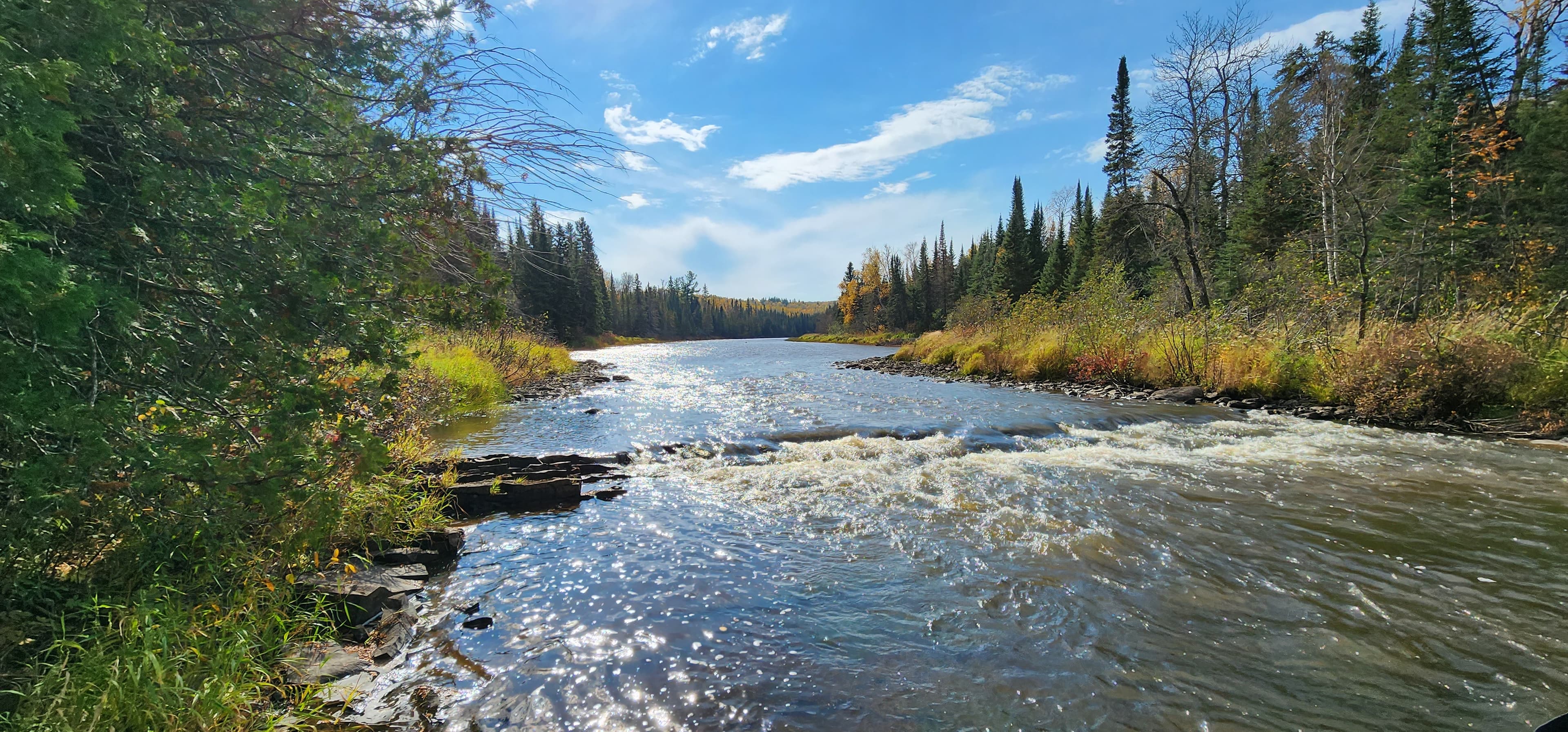 A river with shallow rapids, passing through a forest.