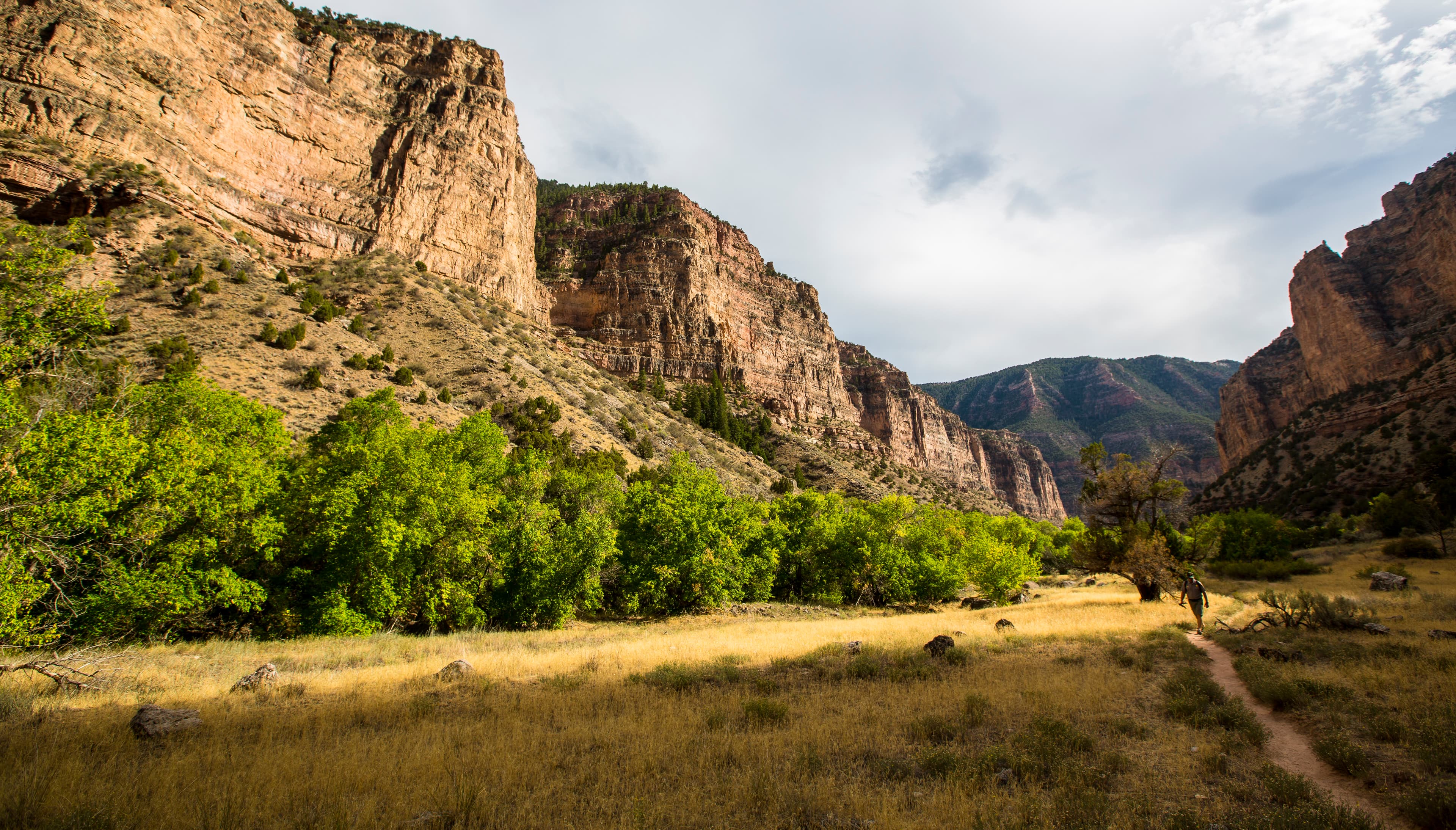 A hiker walks on a trail through golden colored grass as tall cliffs rise on both sides.