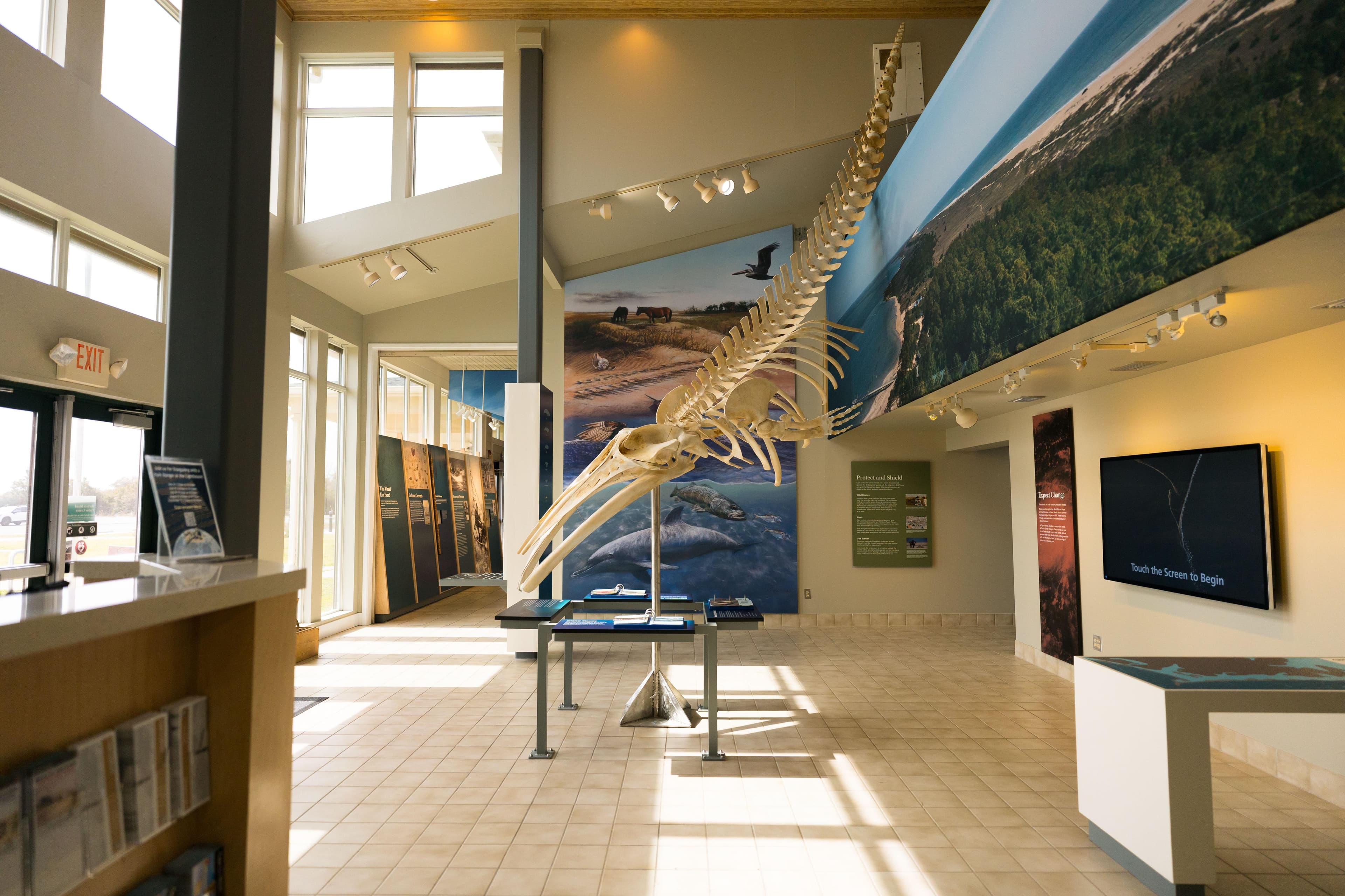 a minke whale skeleton hangs from the ceiling with a landscape banner behind it. Information pannell