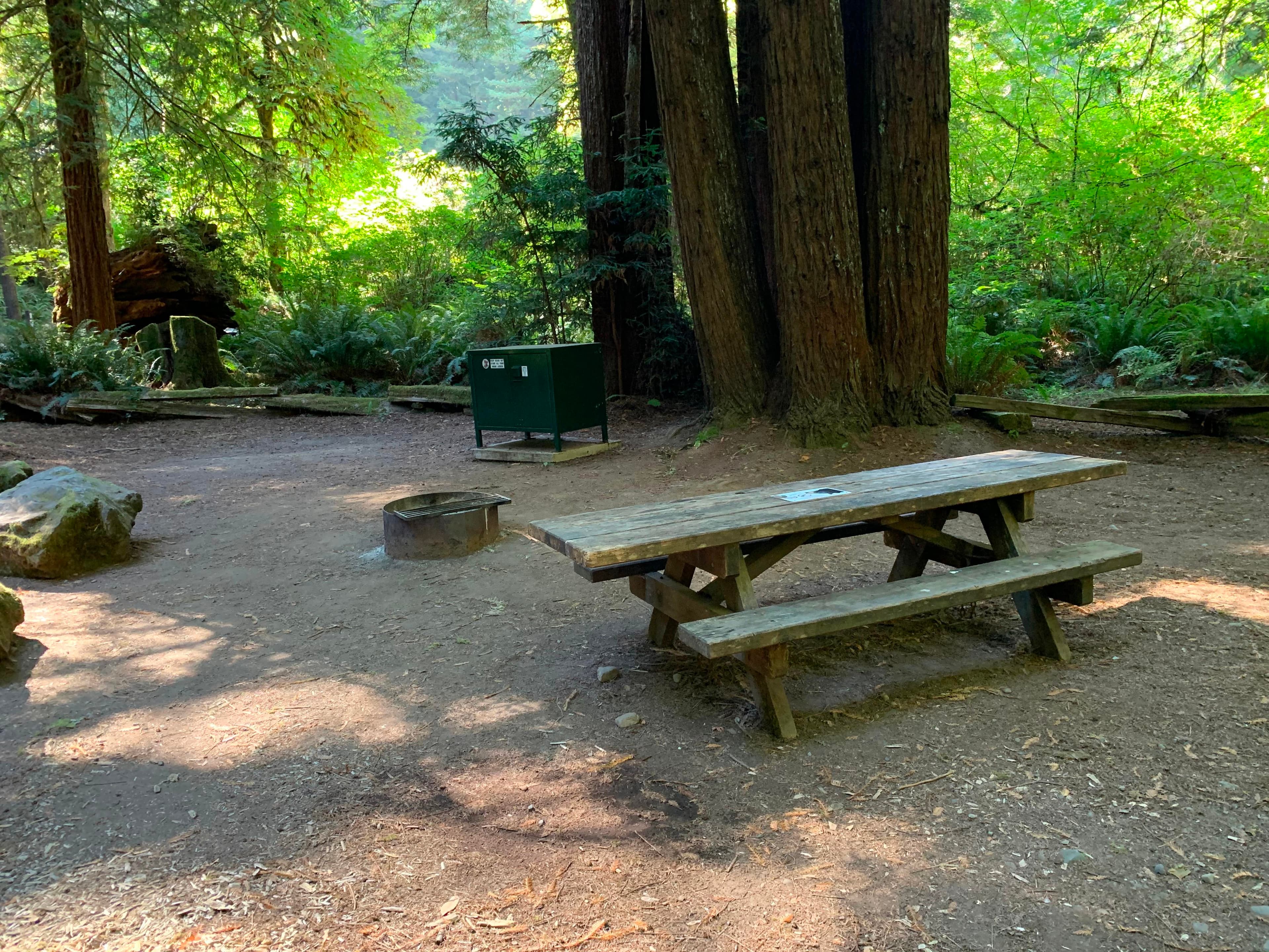 Picnic table, fire ring and food locker