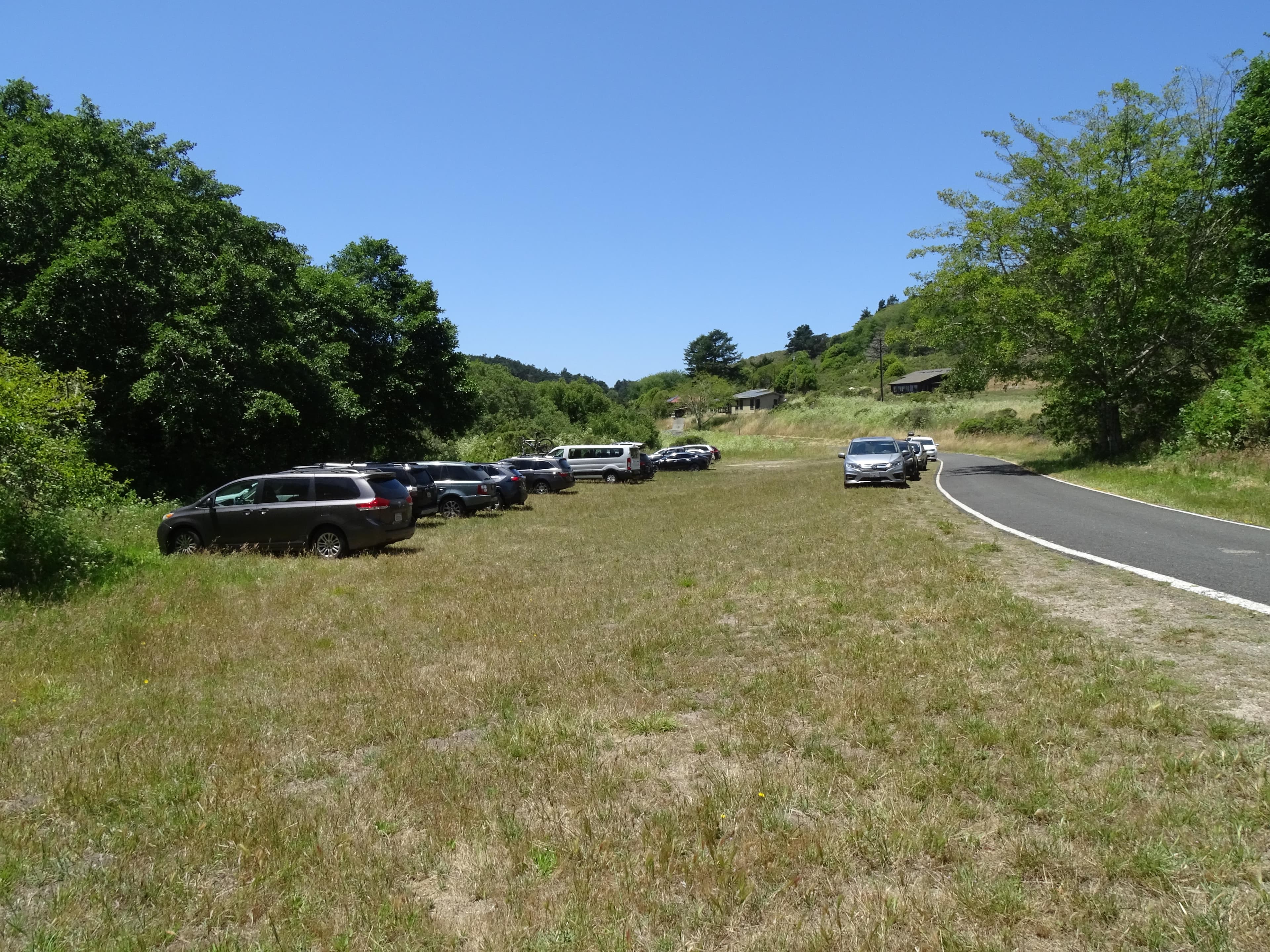 About 20 vehicles parked in a grassy area adjacent to a narrow road.