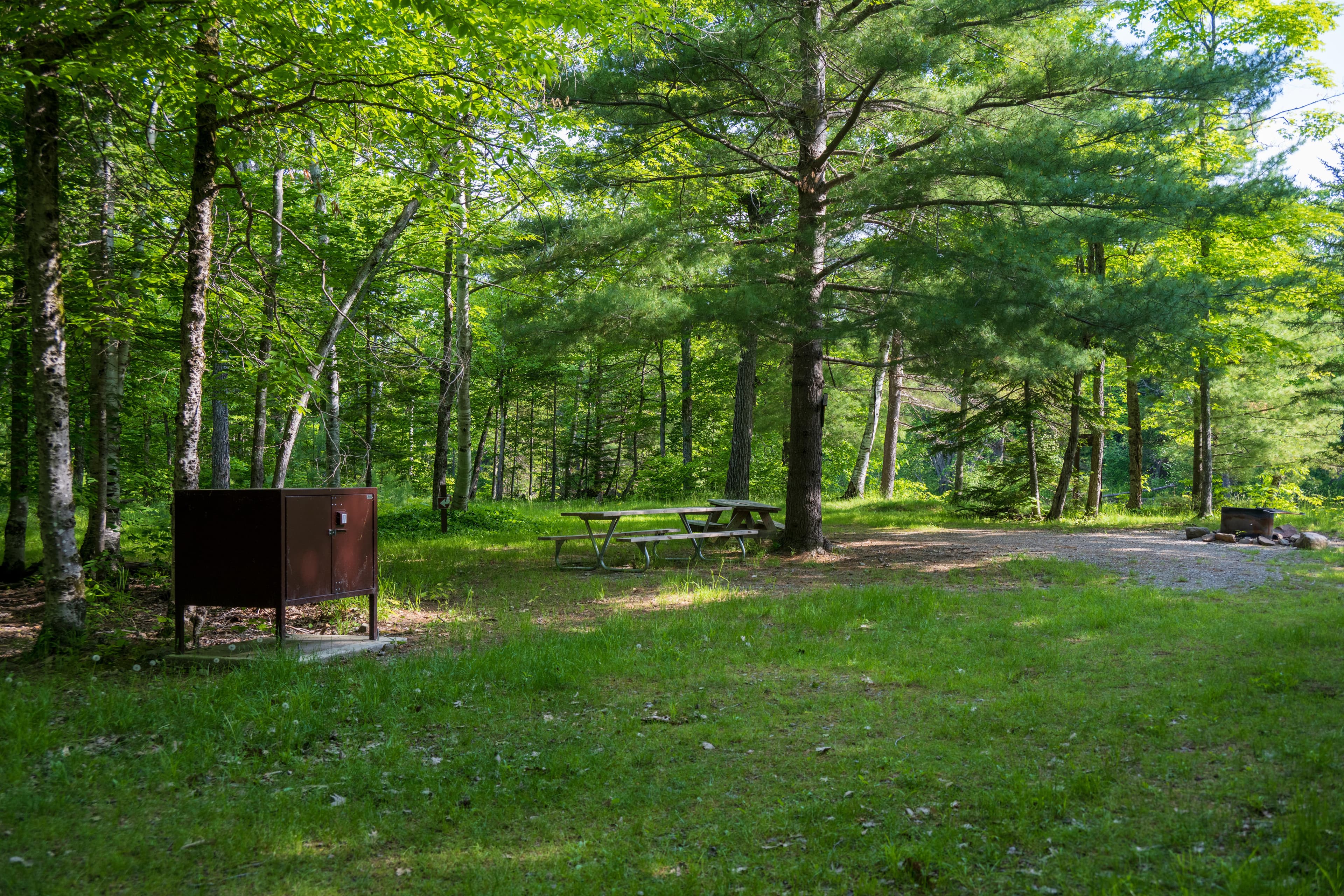 A shaded grassy and gravel campsite with a bear box, two picnic tables, and a metal fire ring.