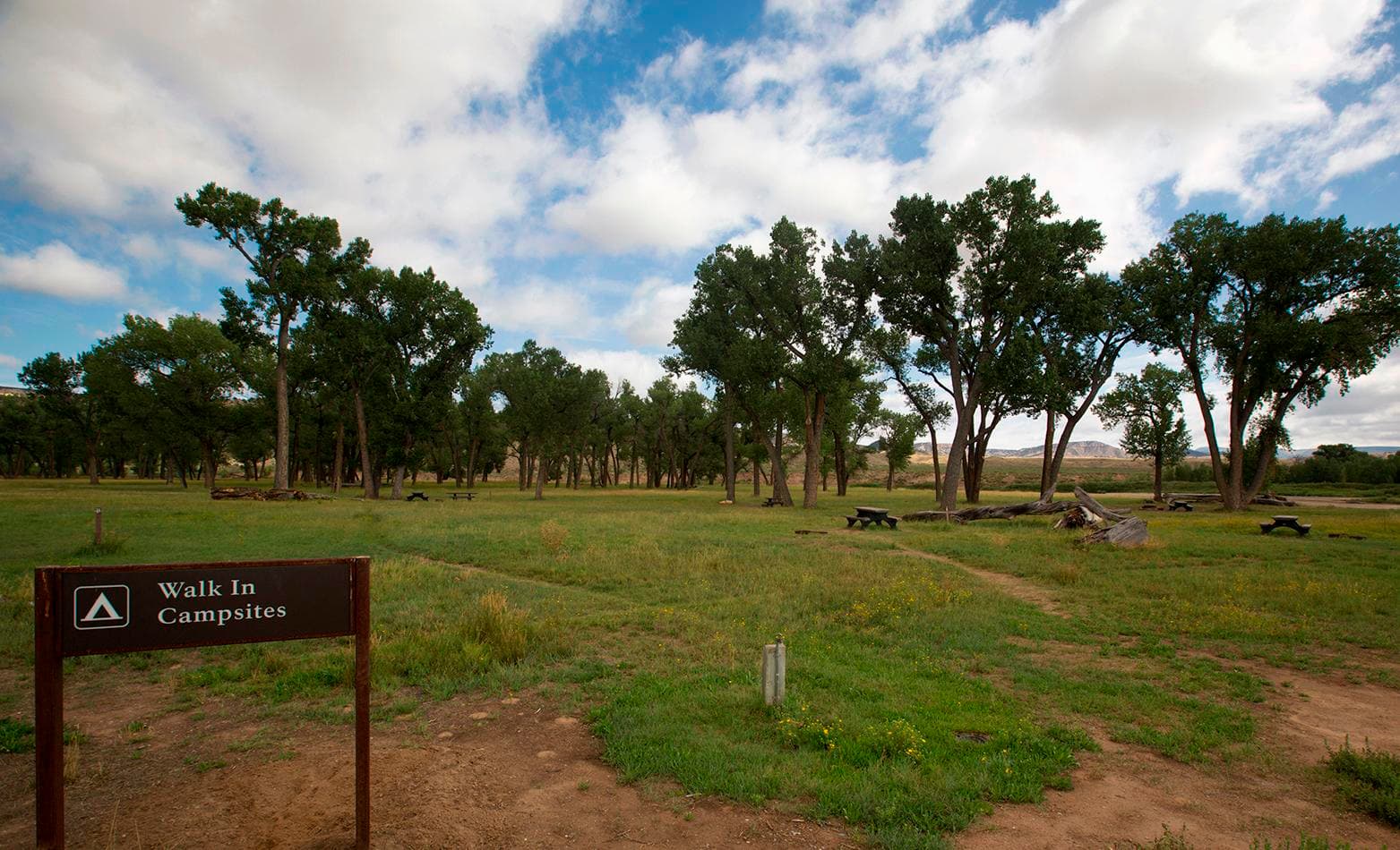 Sign with Walk In Campsites in front of grassy field surrounded by tall trees