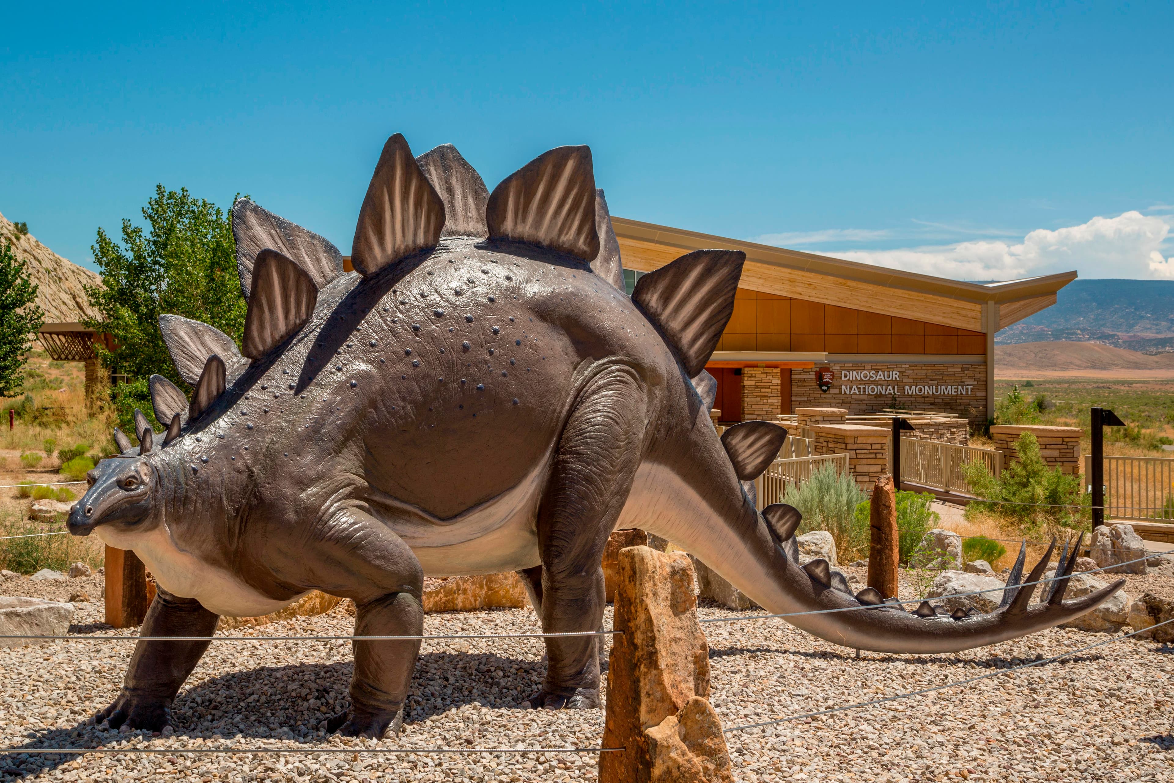 a statue of a stegosaurus dinosaur stands on gravel in front of a building