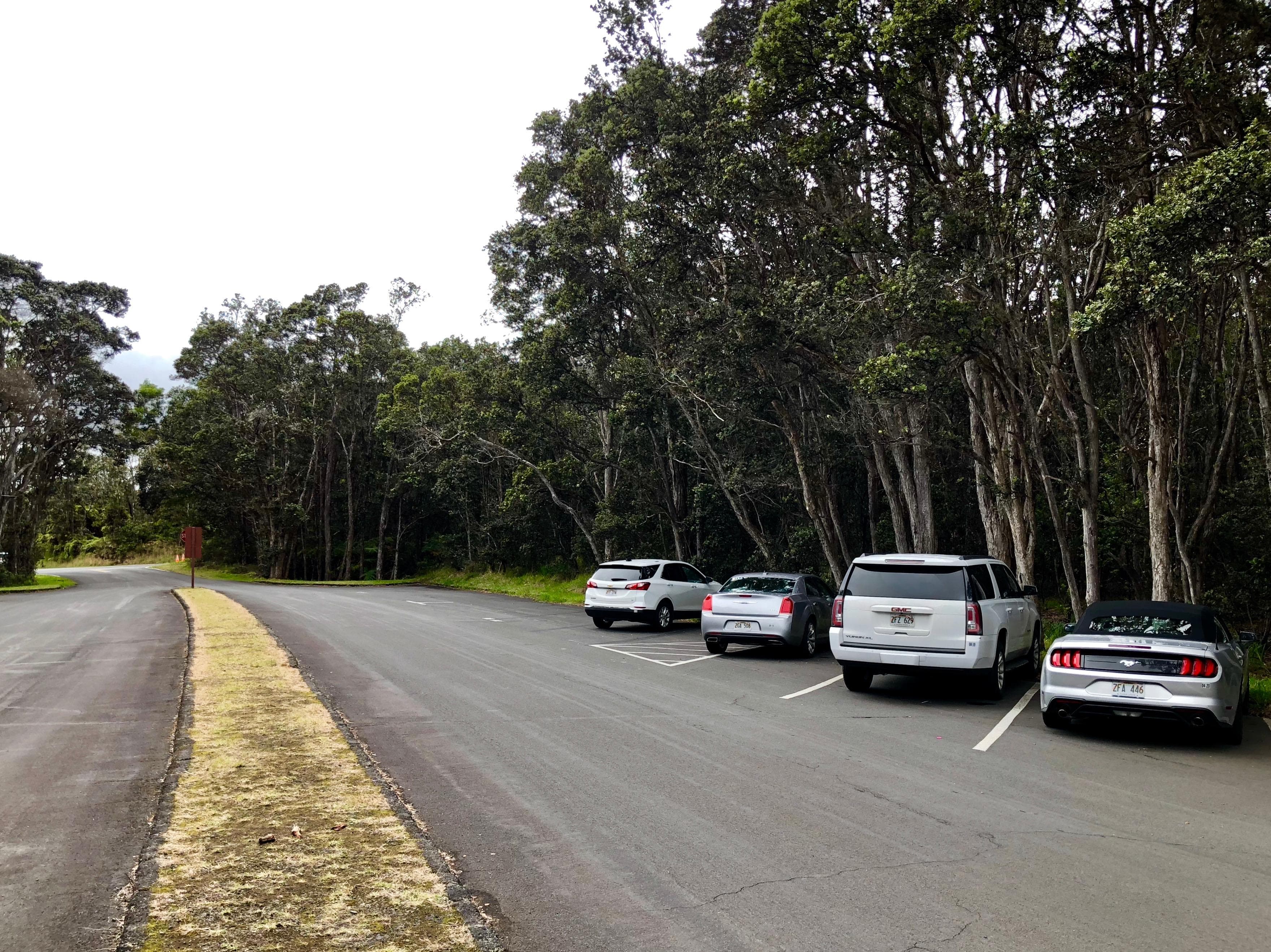 Devastation Trail Parking Lot