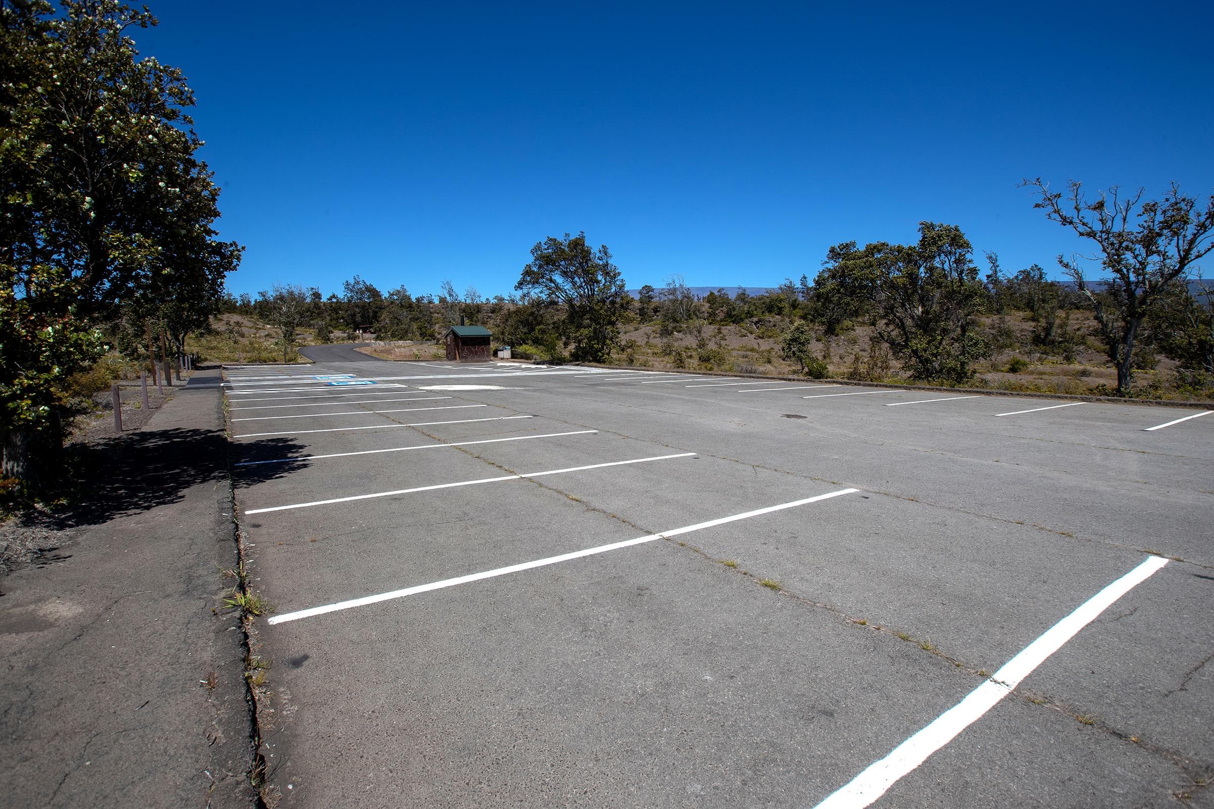 An empty parking lot with trees on the periphery