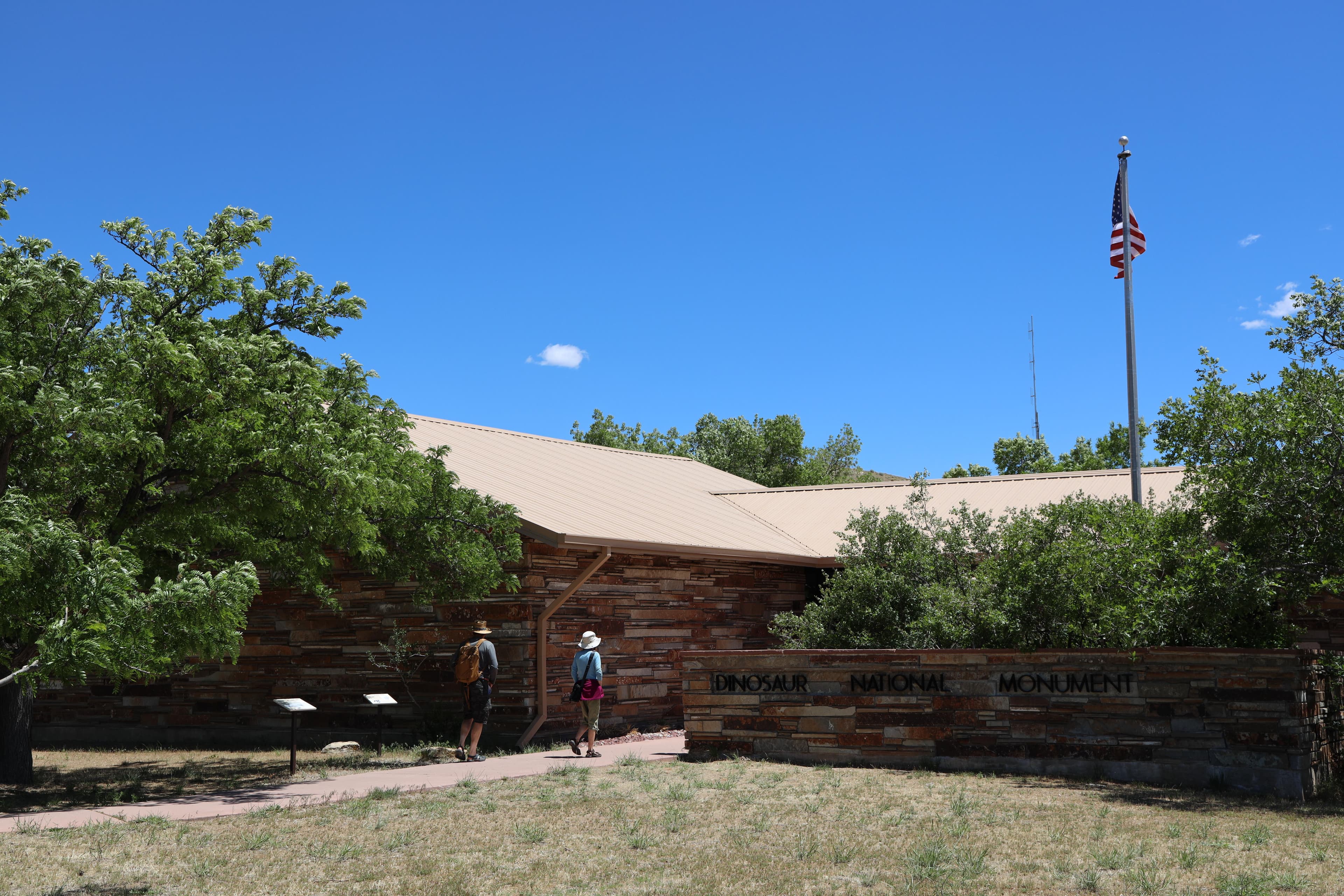 Green trees surround a brown building under a bright blue sky