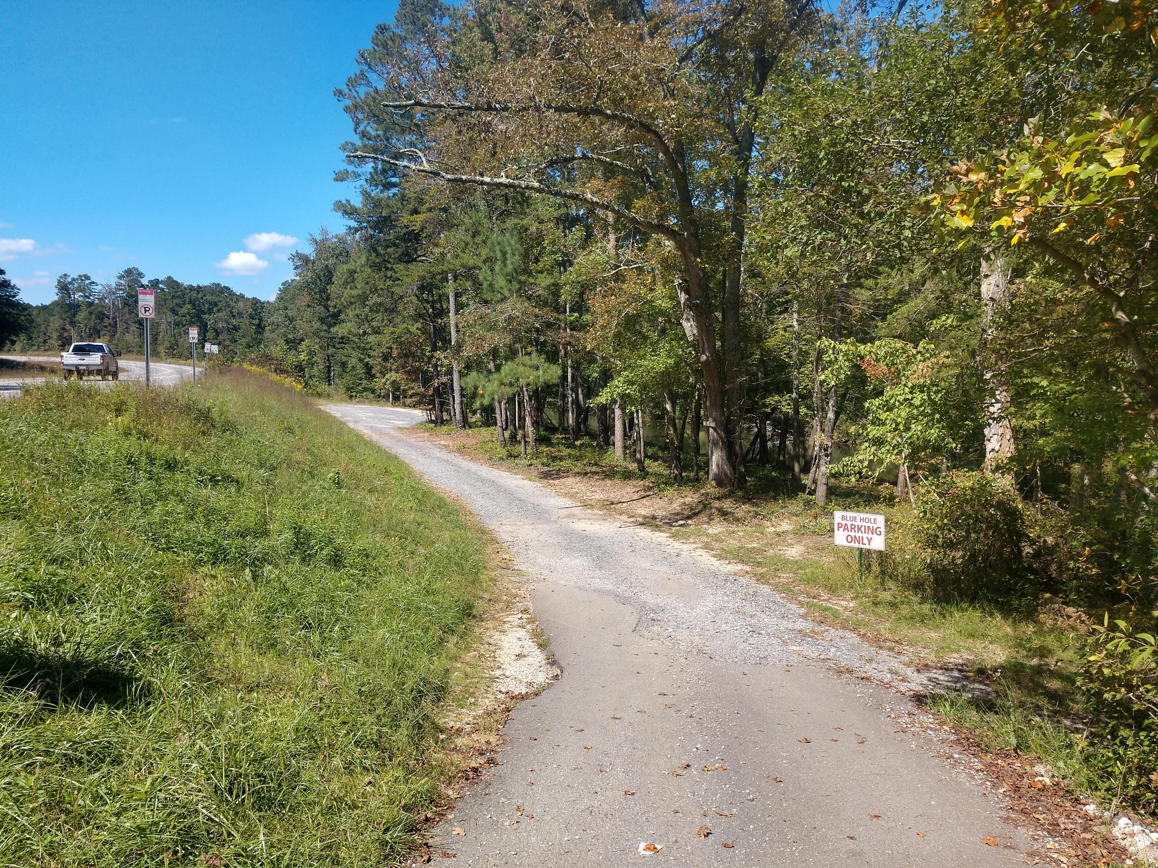 A small roadside gravel parking area with a mixed conifer and deciduous forest around it.