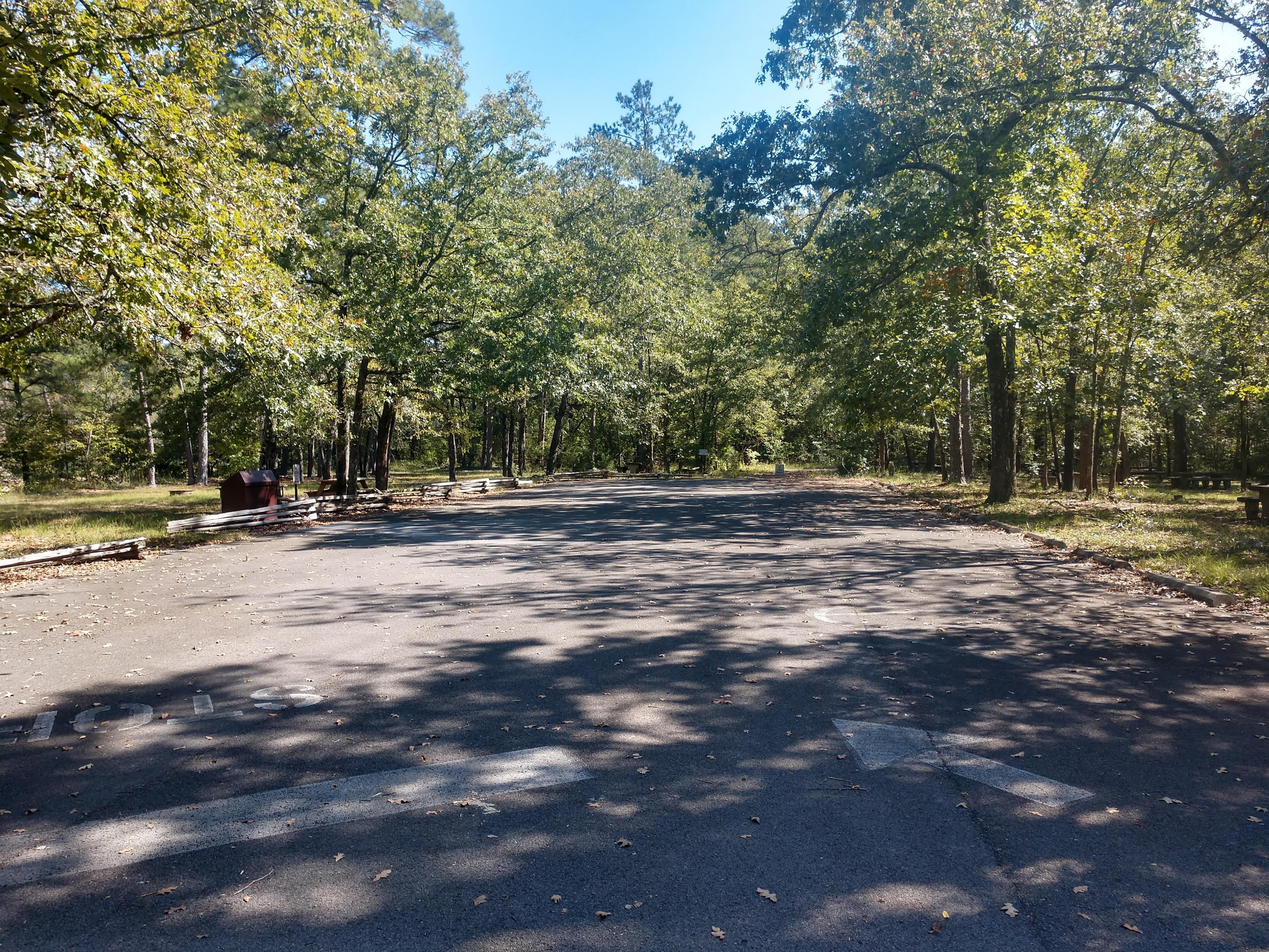 A paved parking area with a mixed conifer and deciduous forest around it.
