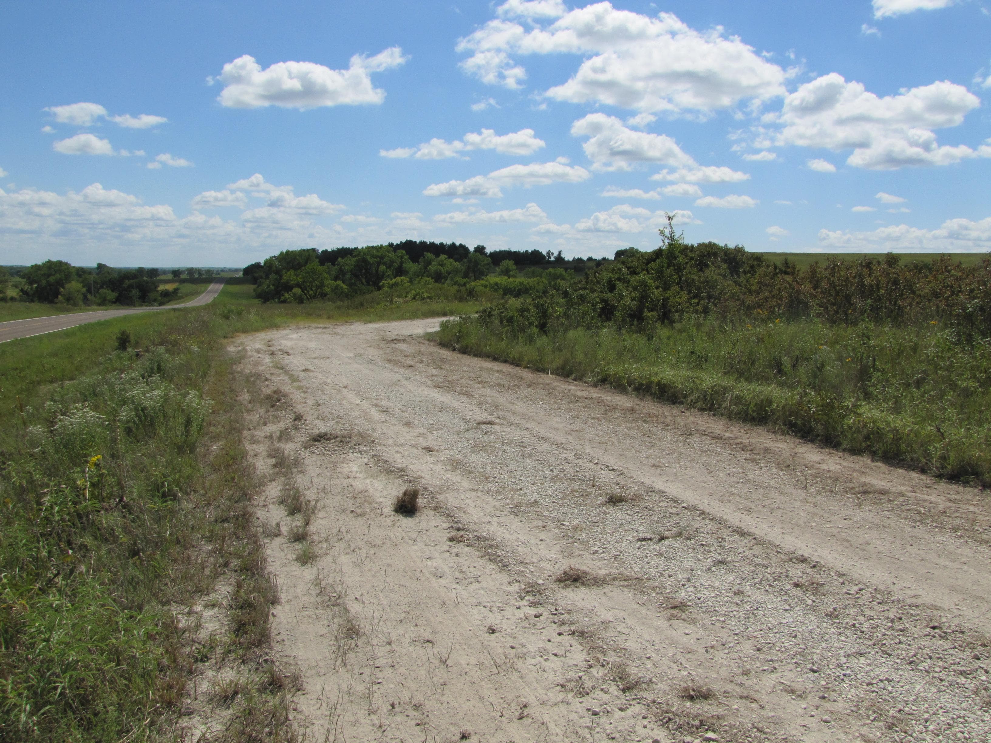 A gravel road sharply curves to the right behind tall shrubs.