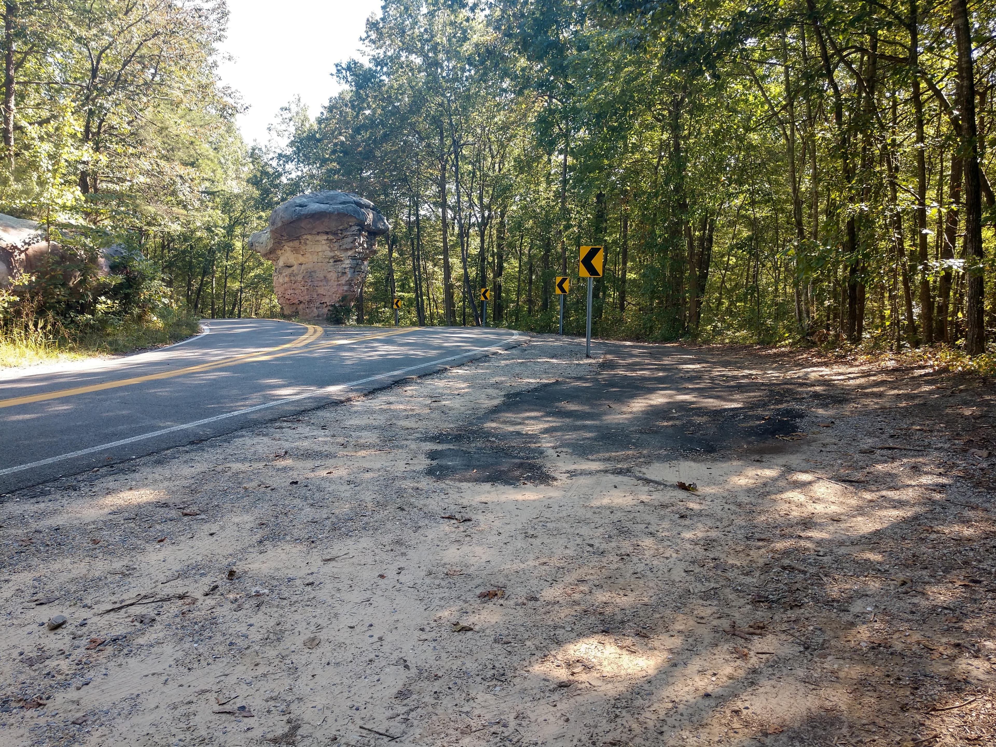A small roadside gravel parking area with a mixed conifer and deciduous forest around it.