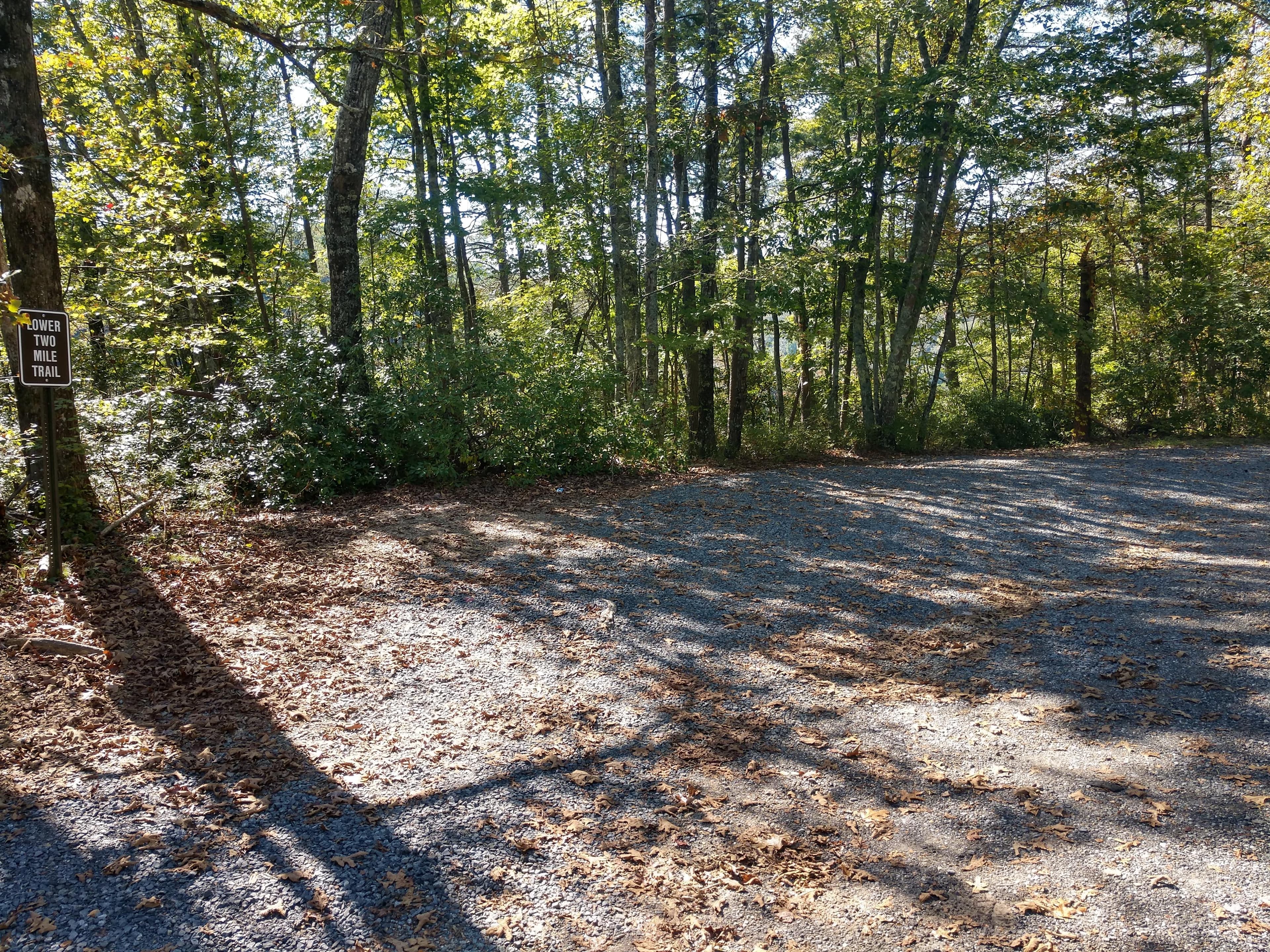 A small roadside gravel parking area with a mixed conifer and deciduous forest around it.