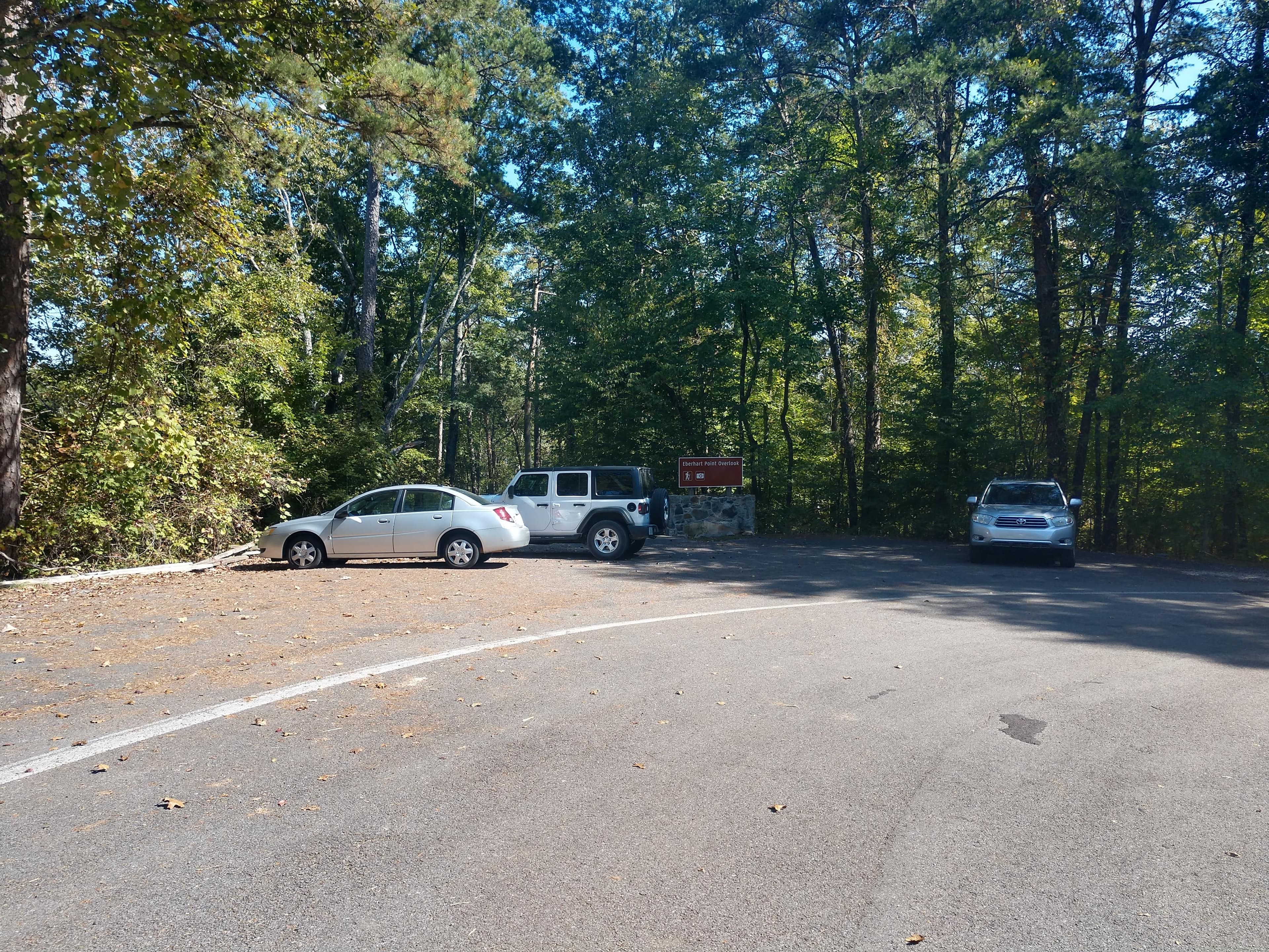 A small roadside gravel parking area with a mixed conifer and deciduous forest around it.