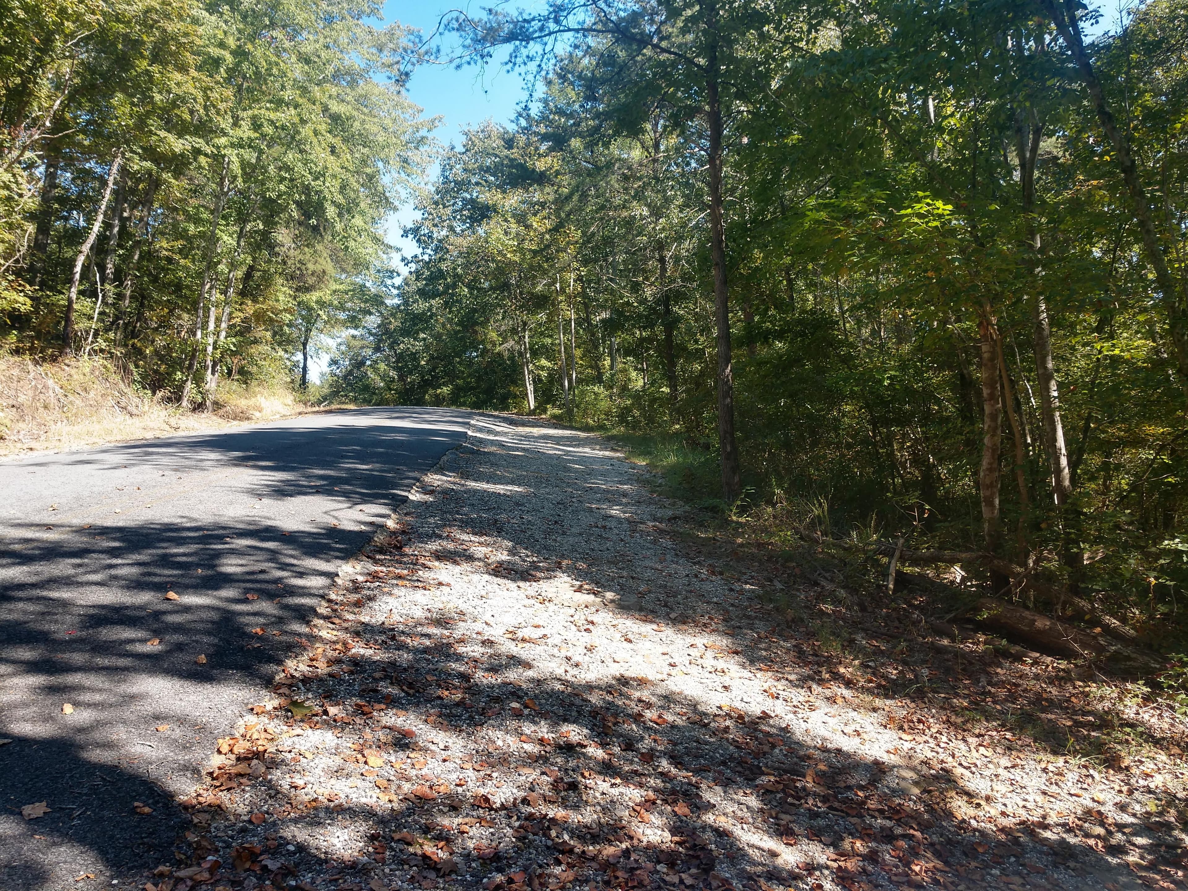 A small roadside gravel parking area with a mixed conifer and deciduous forest around it.