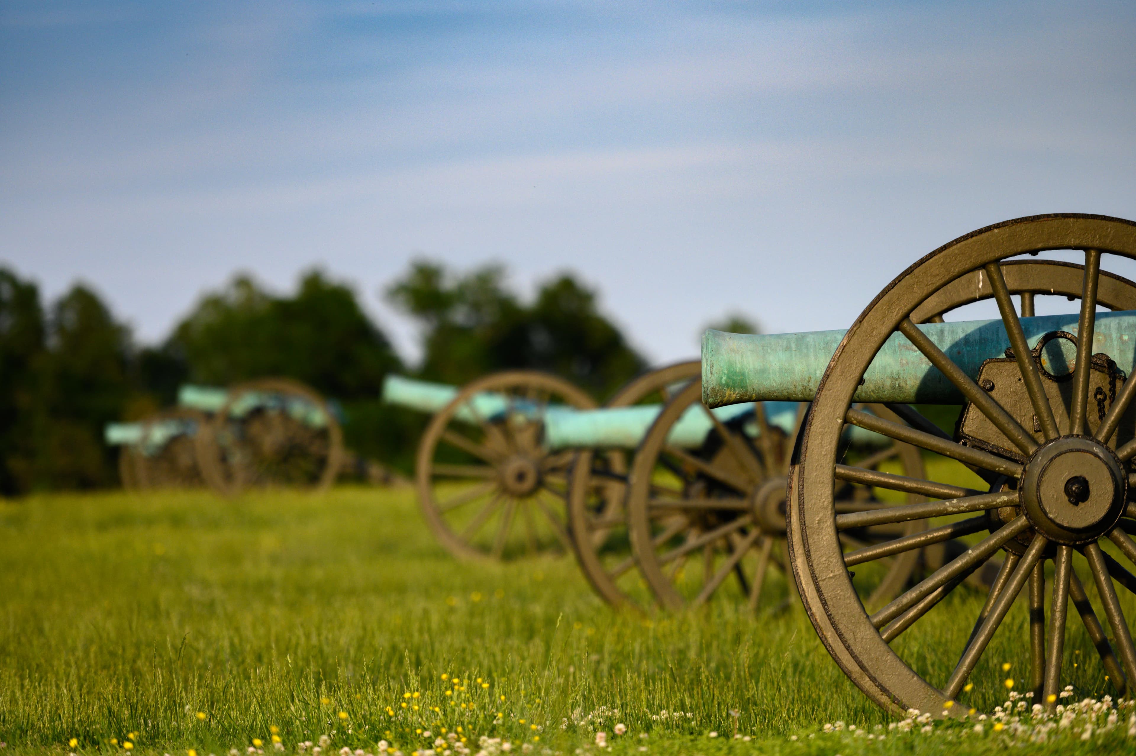 A line of bronze Civil War cannons in a grassy field.