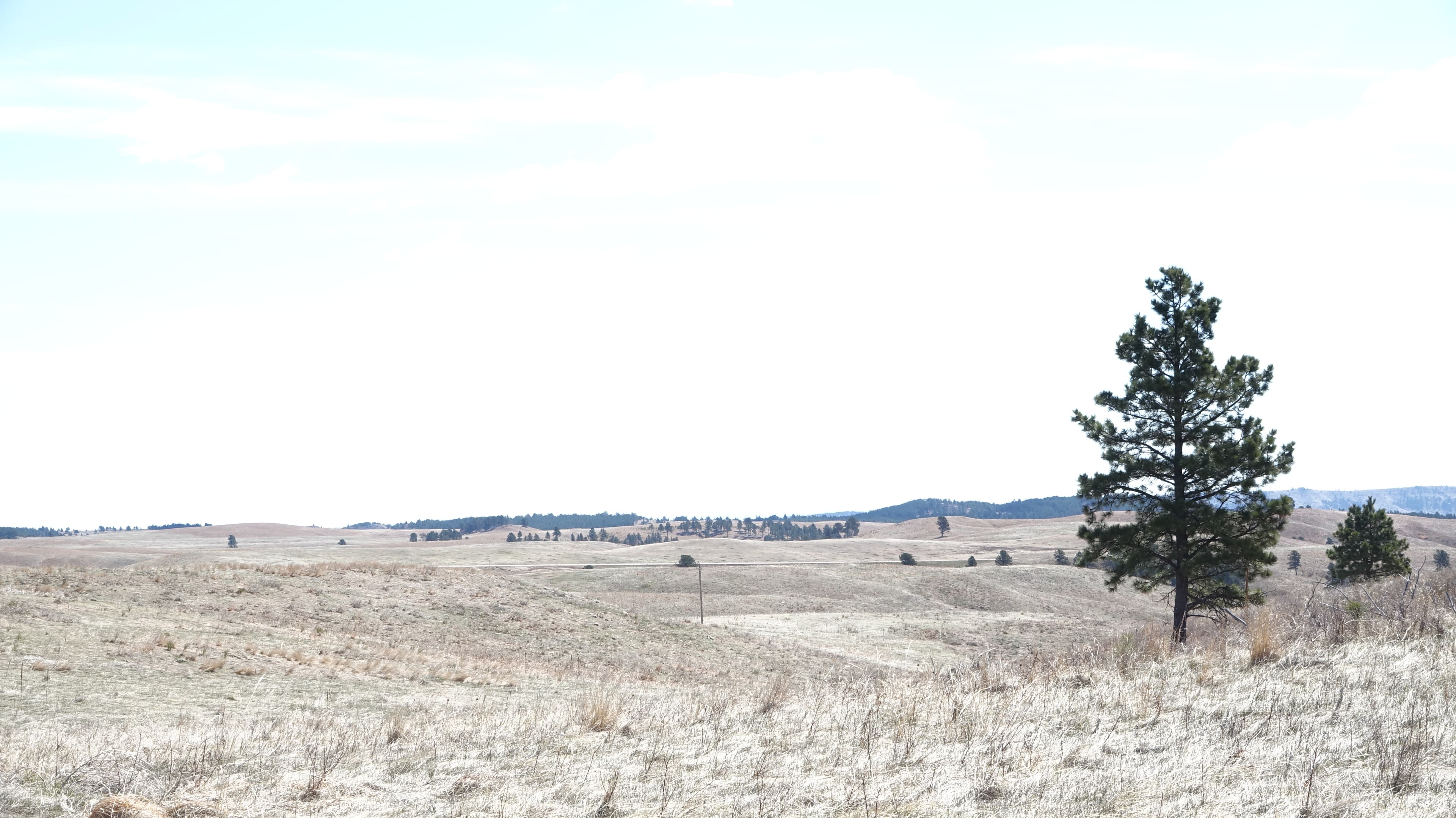Elk Mountain Nature Trail at Wind Cave National Park