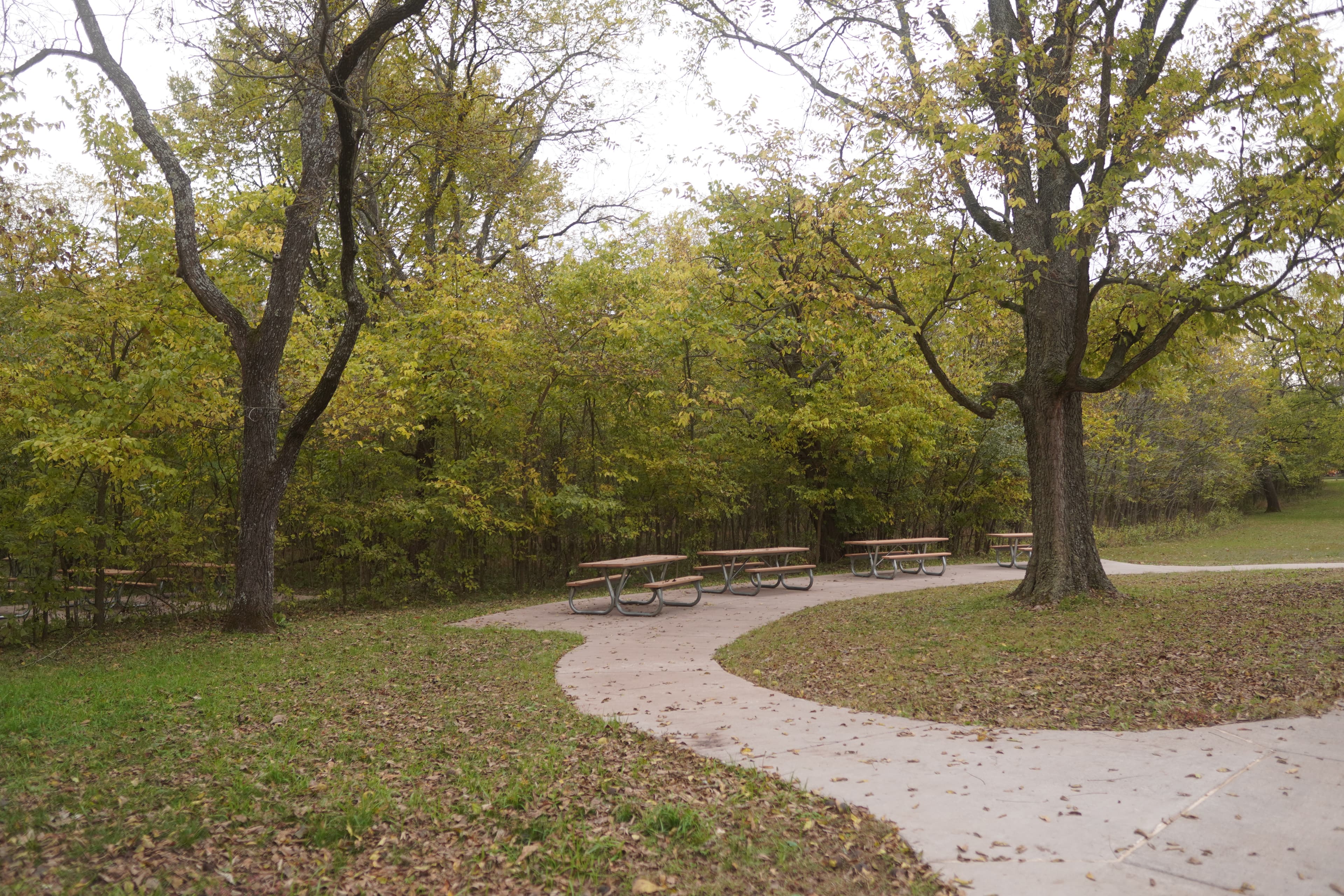 Three picnic table near a walking trail.