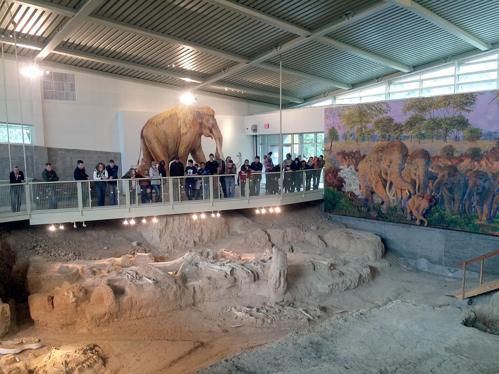 People view fossils from an elevated walkway. Behind them are lifesize paintings of mammoths.
