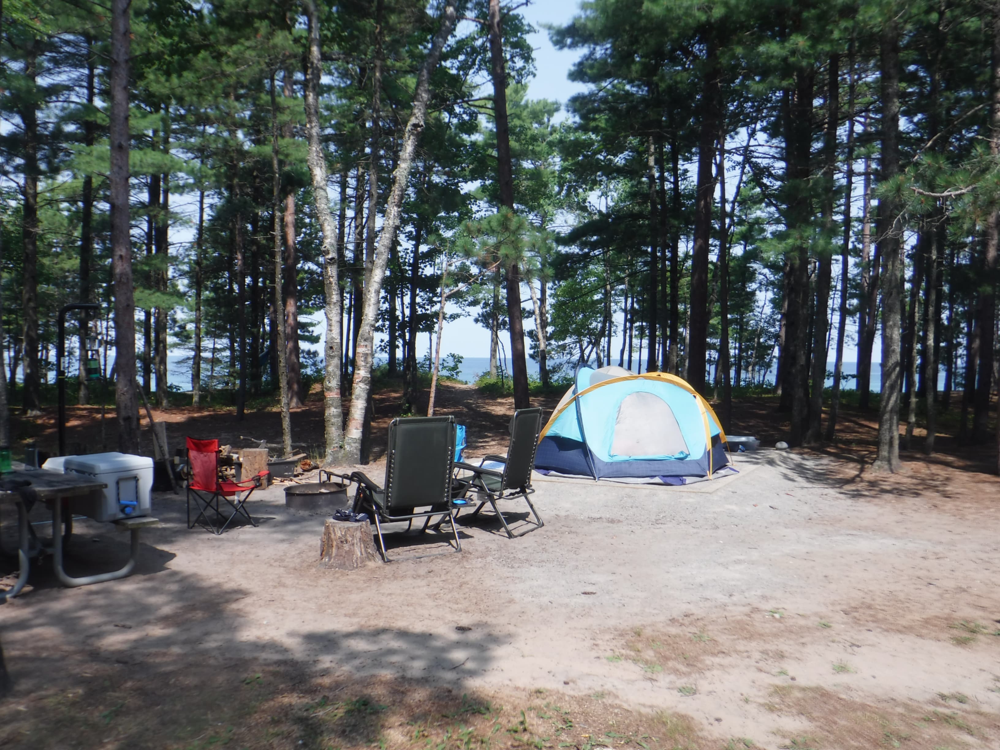 Small tent on tend pad with tall trees overhead