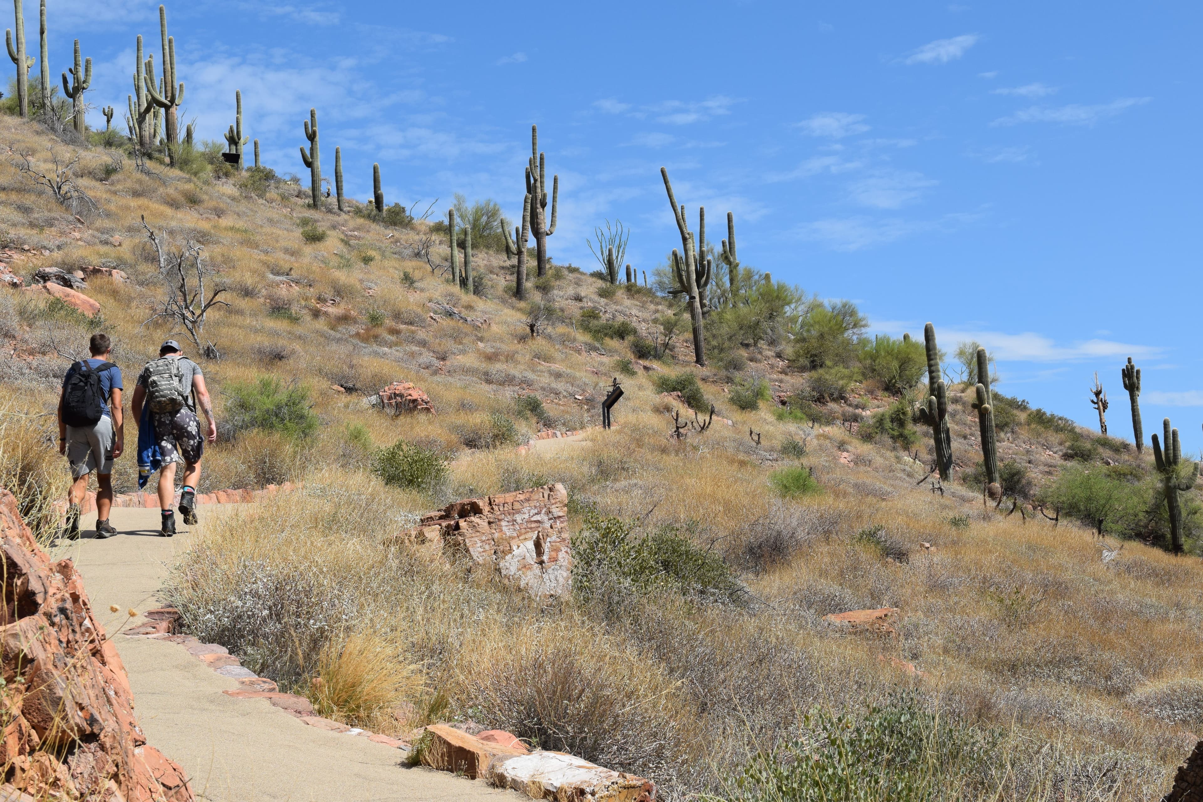 Two people walking up a steep paved trail through desert landscape.