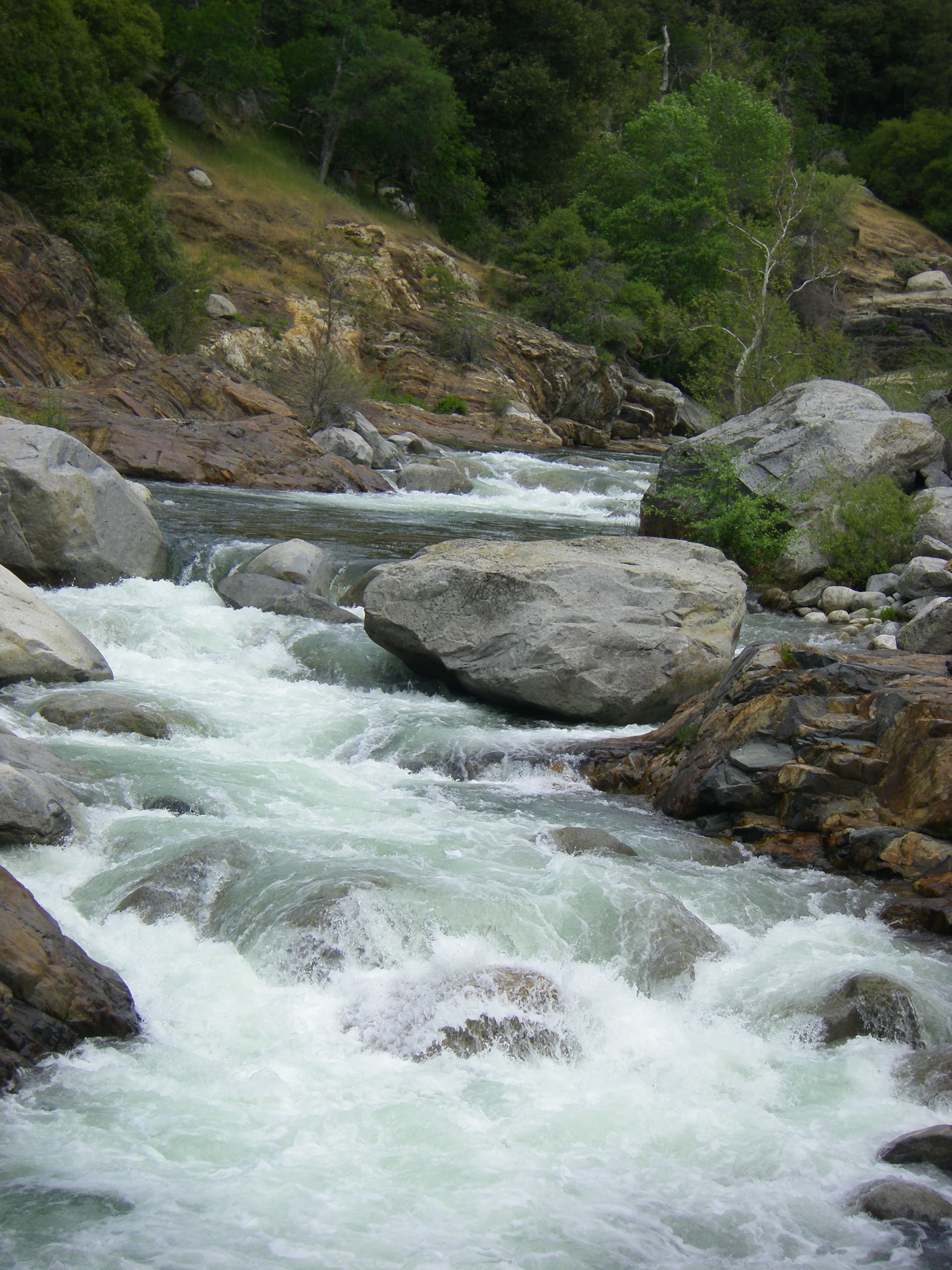 Paradise Creek