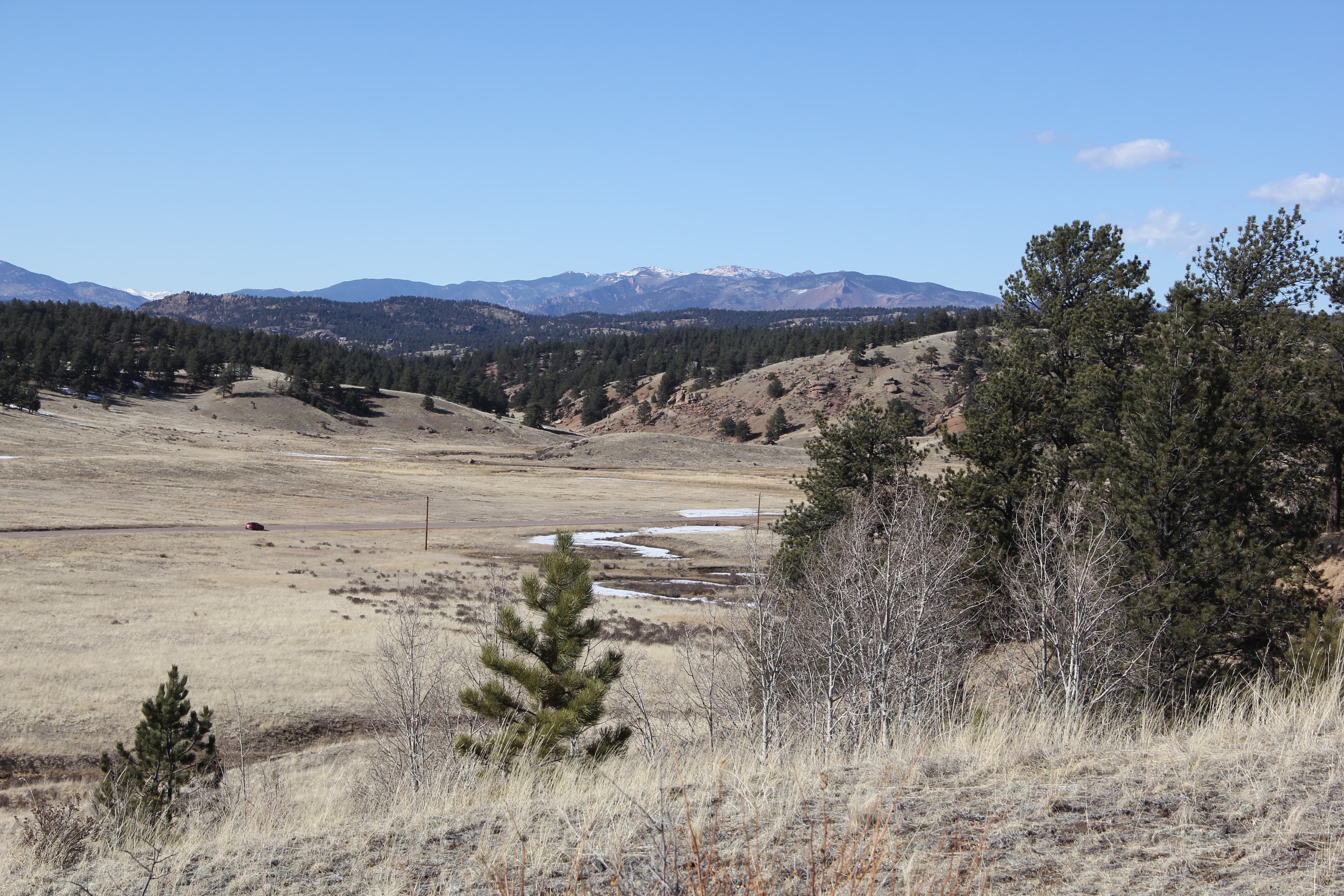 A grassy hillside with some trees overlooks a larger grassy valley with mountains in the background