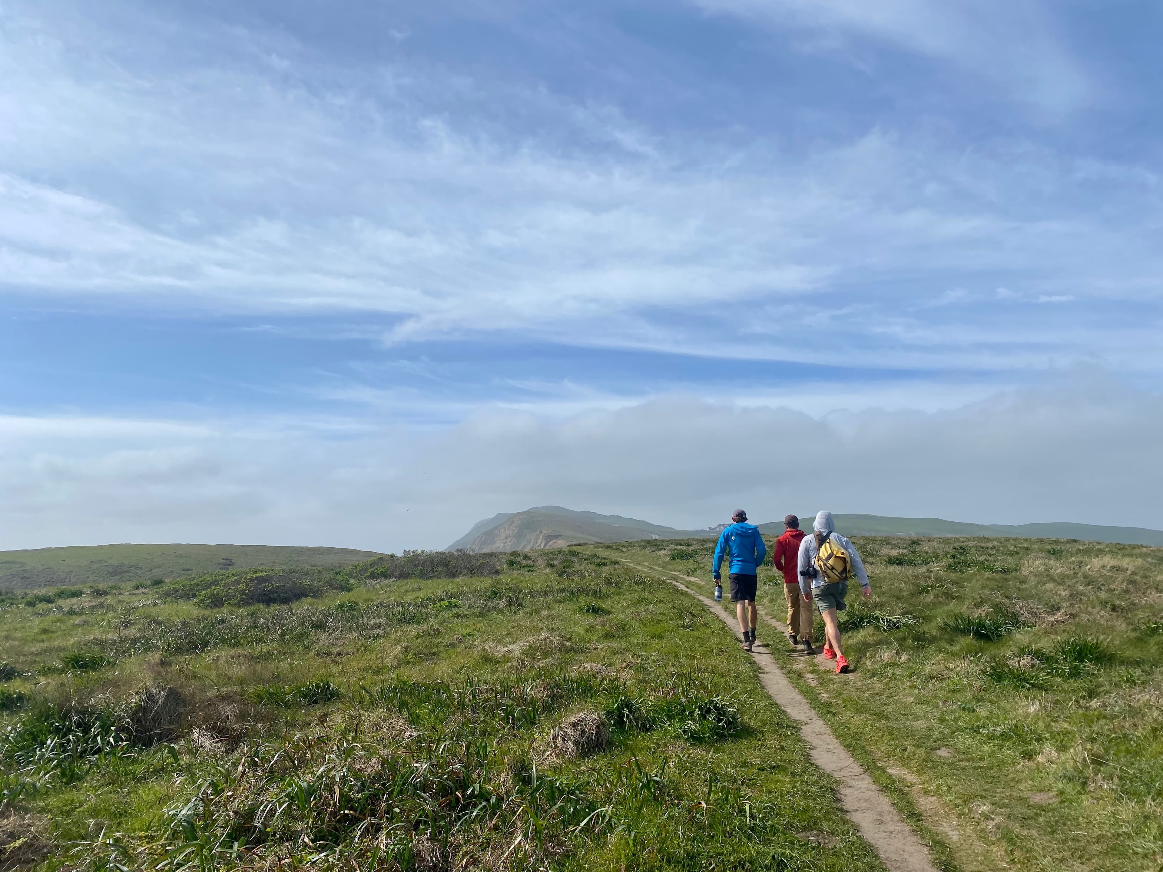 Three hikers on a dirt, single track trail through lush green grass.