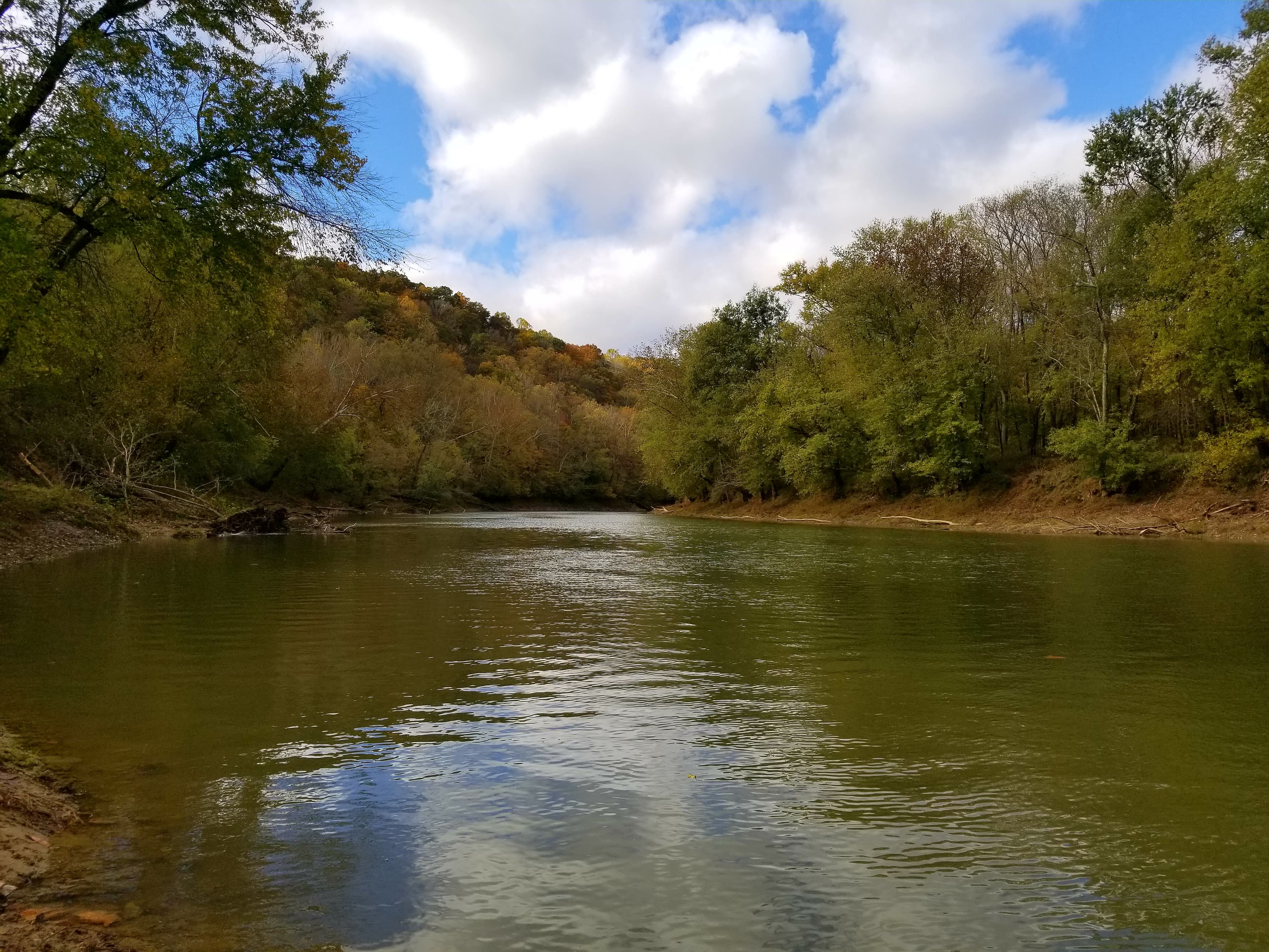 A river with tall trees on each bank