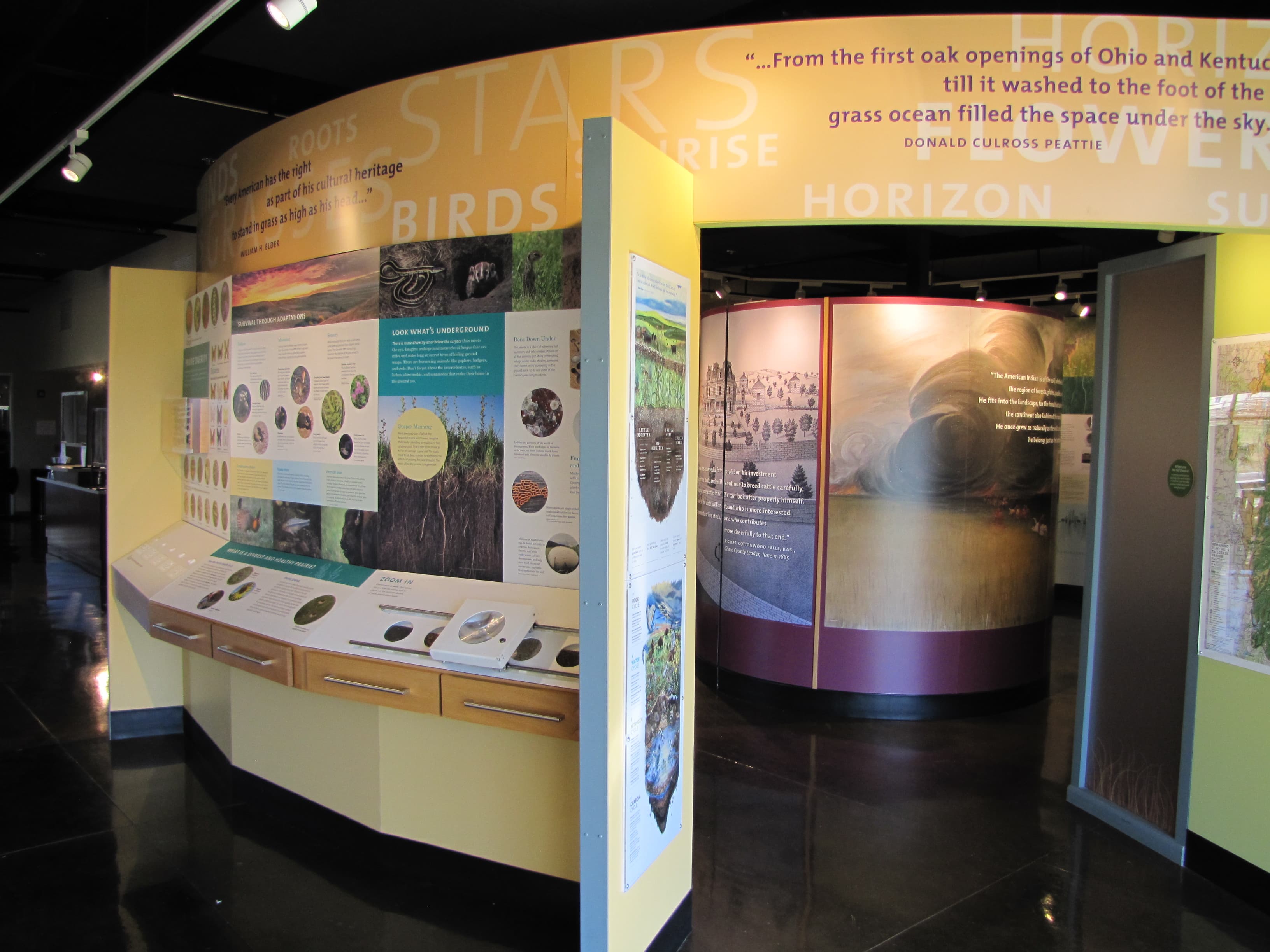 Wall exhibits dsplay several ecology topics