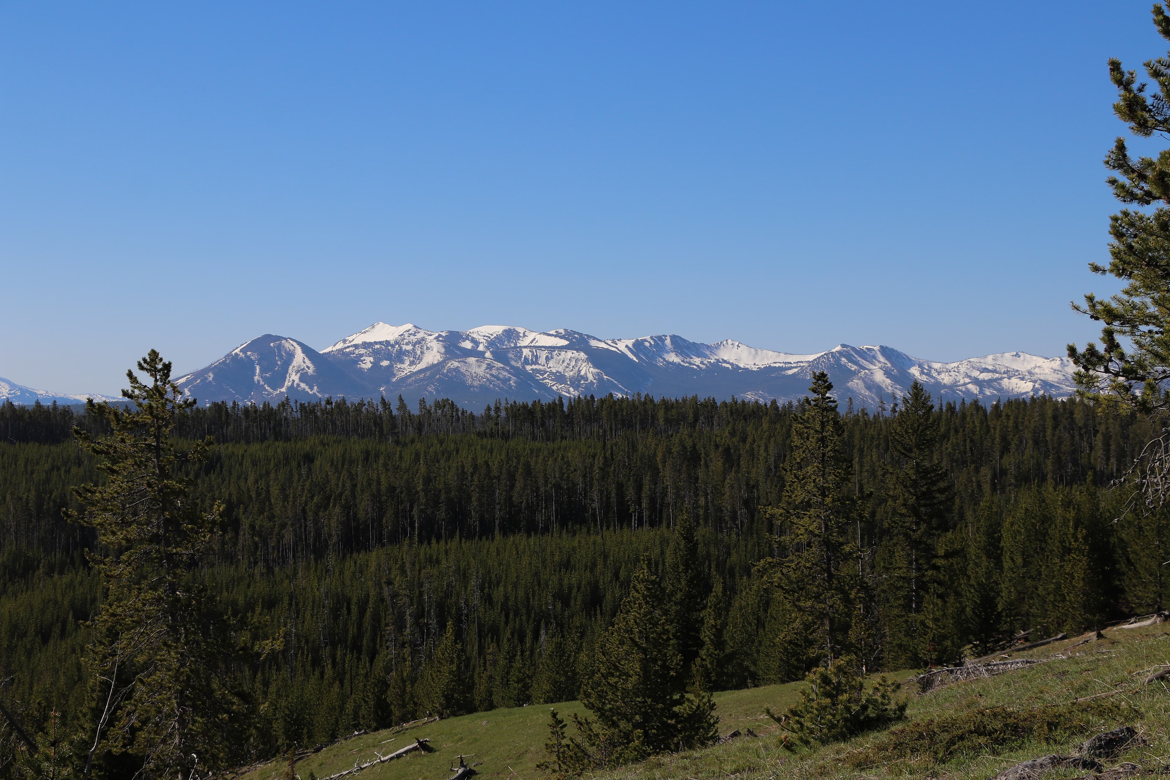 A broad mountain rises above a forested slope.