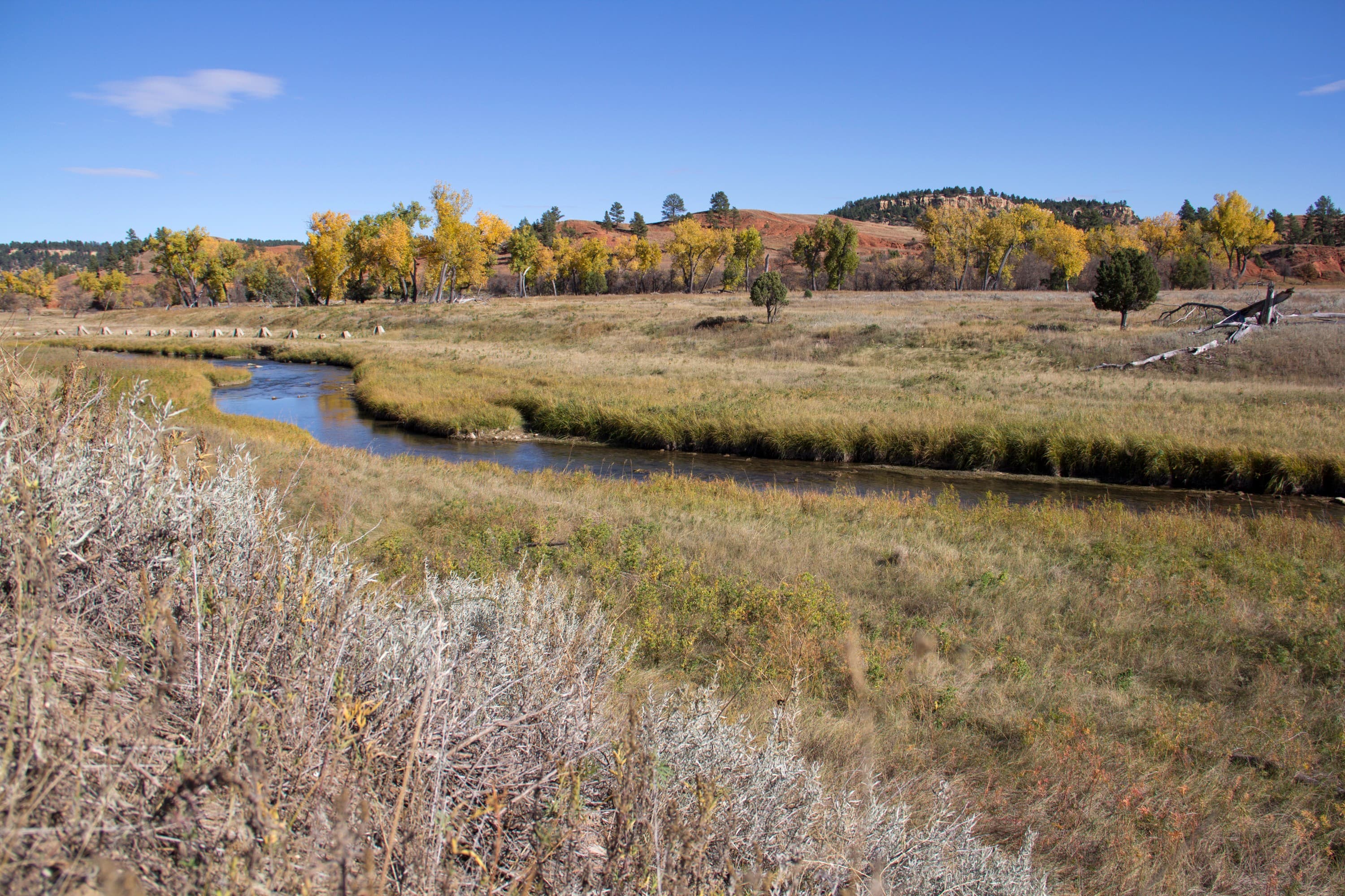 a blue river winds through prairie, with cottonwood trees and red cliffs in the background