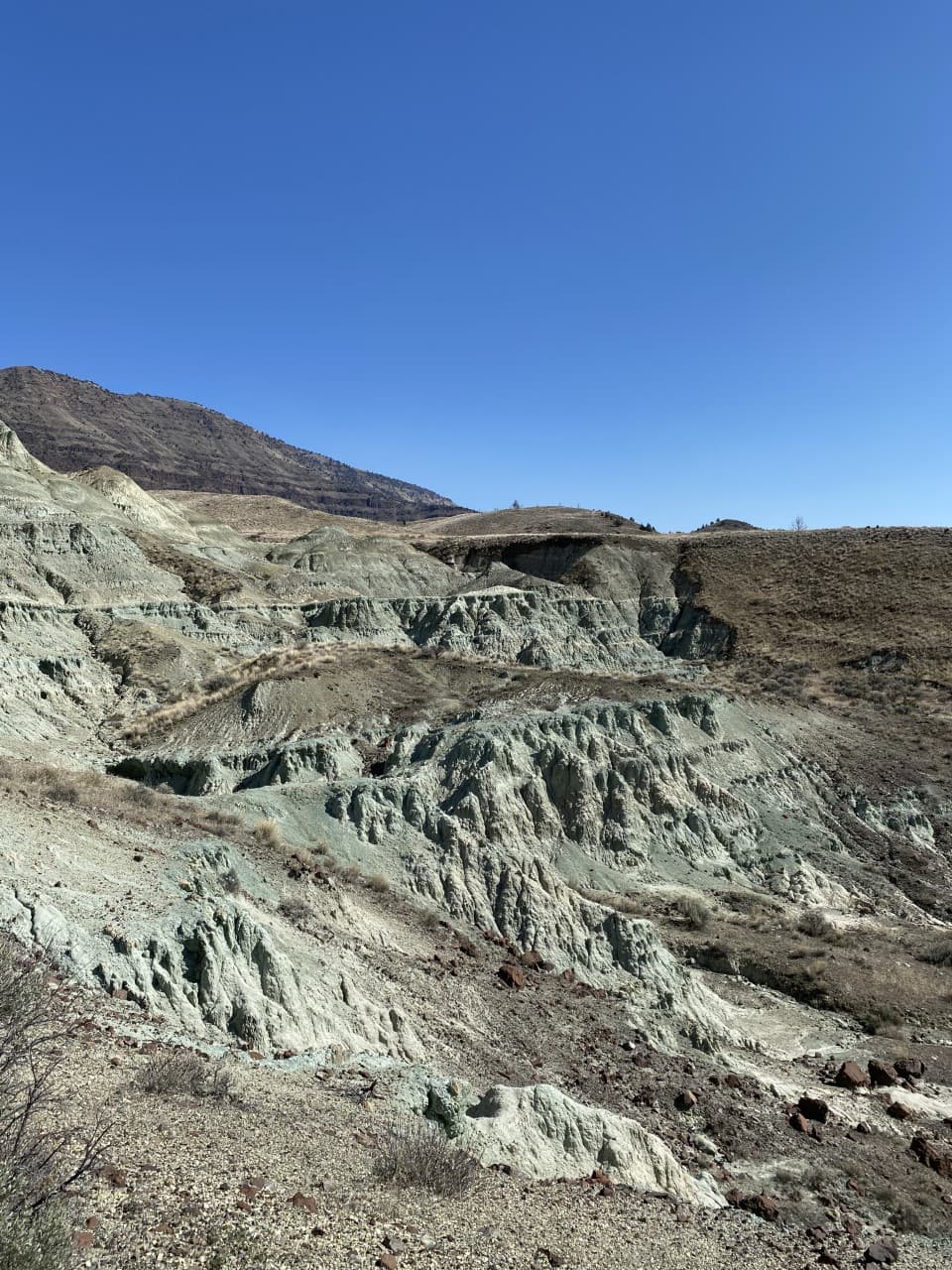 Layered blue claystone rocks in a valley with blue skies in the background