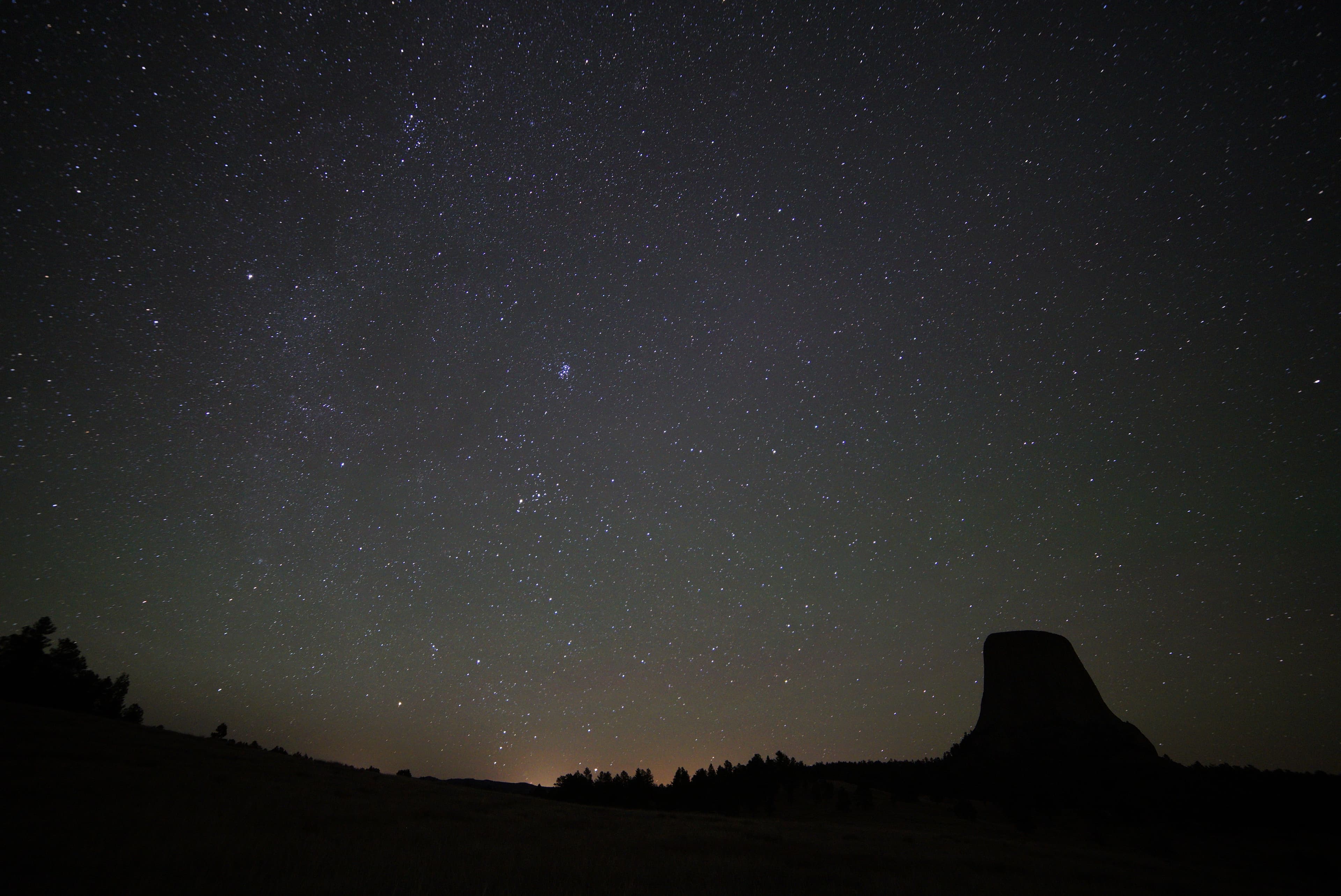 a dark night sky filled with stars with Devils Tower and trees silhouetted below
