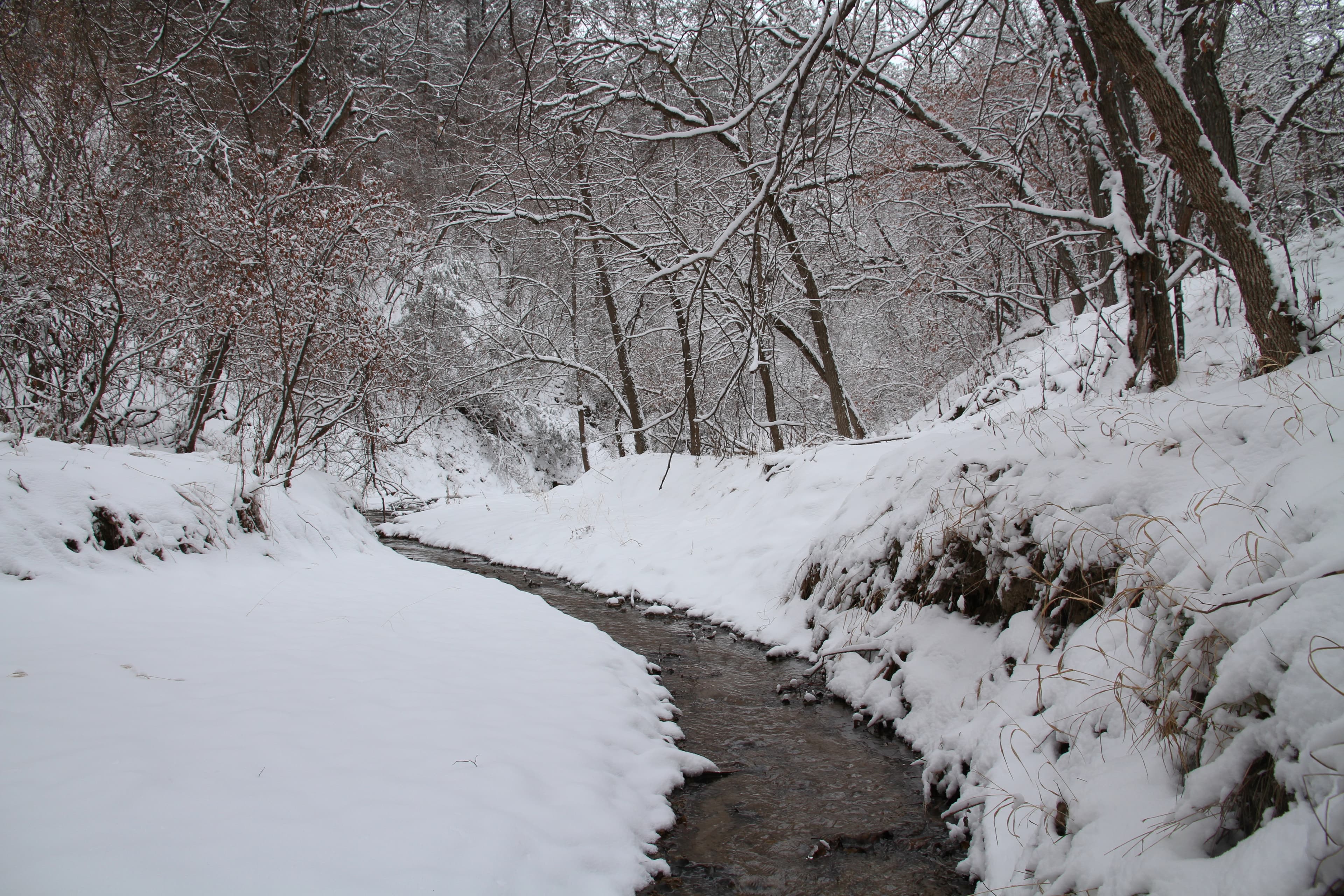 A small creek flows through a snowy landscape.
