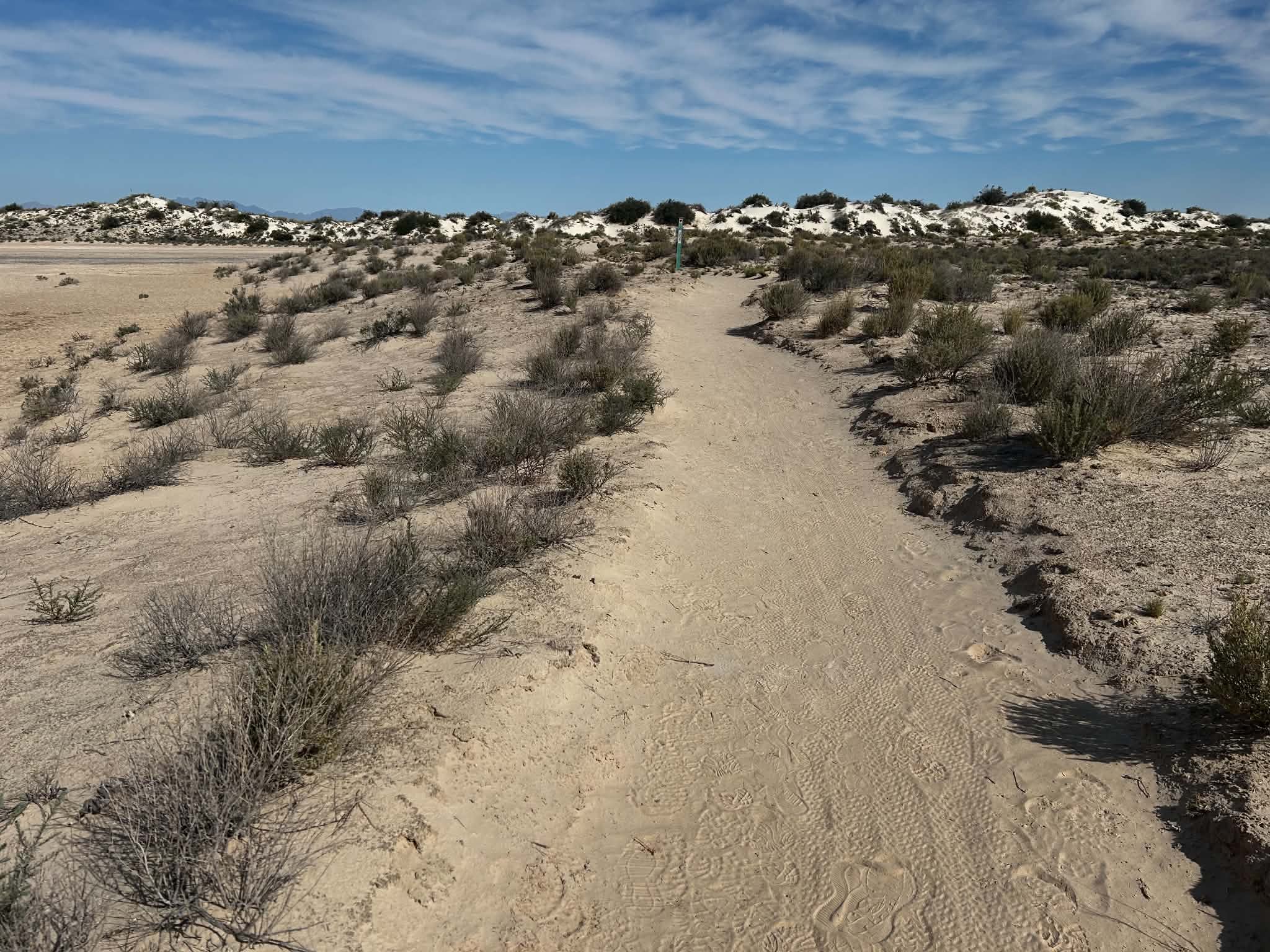 A dirt trail in the desert floor