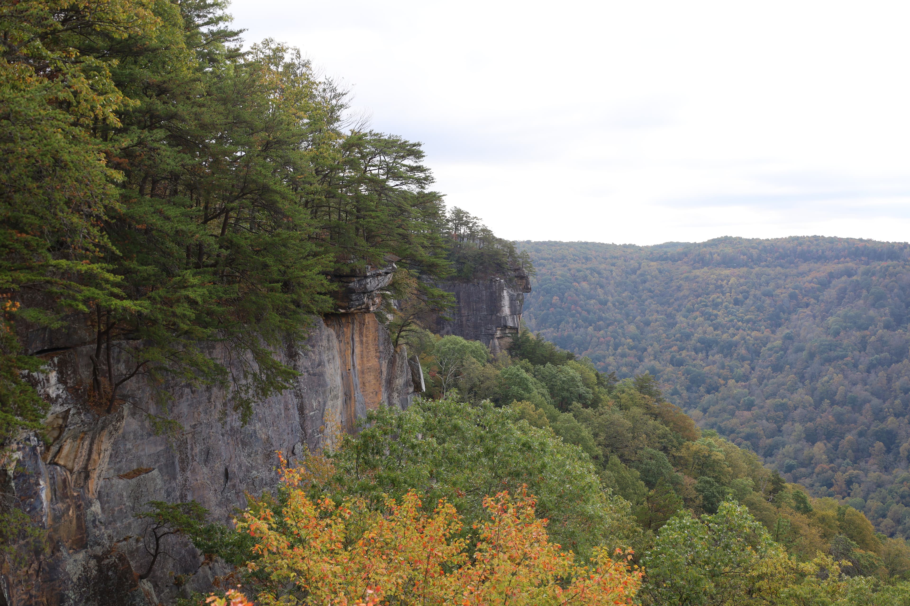 Views of the rock face from Endless Wall Trail