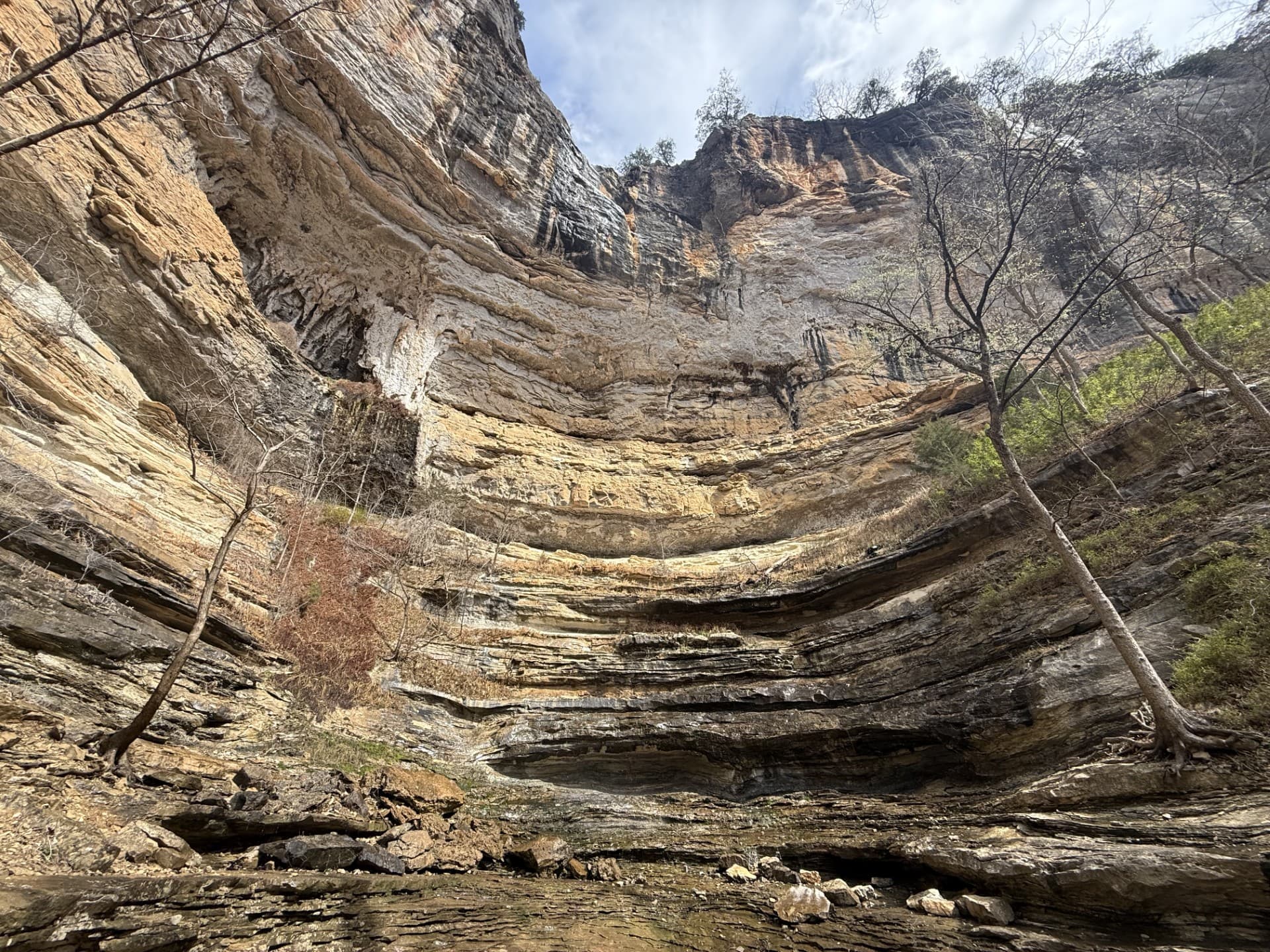 A large sandstone bluff line surrounded by small redbud trees.