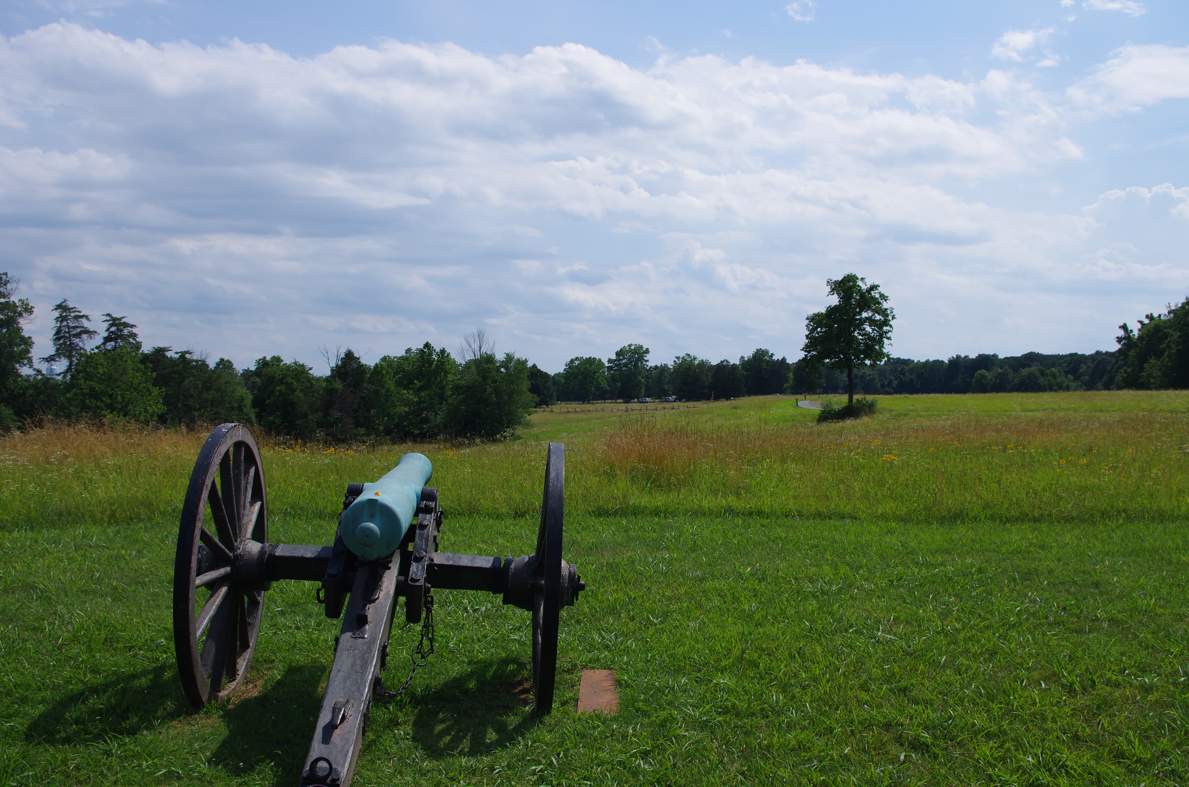 Artillery on Chinn Ridge