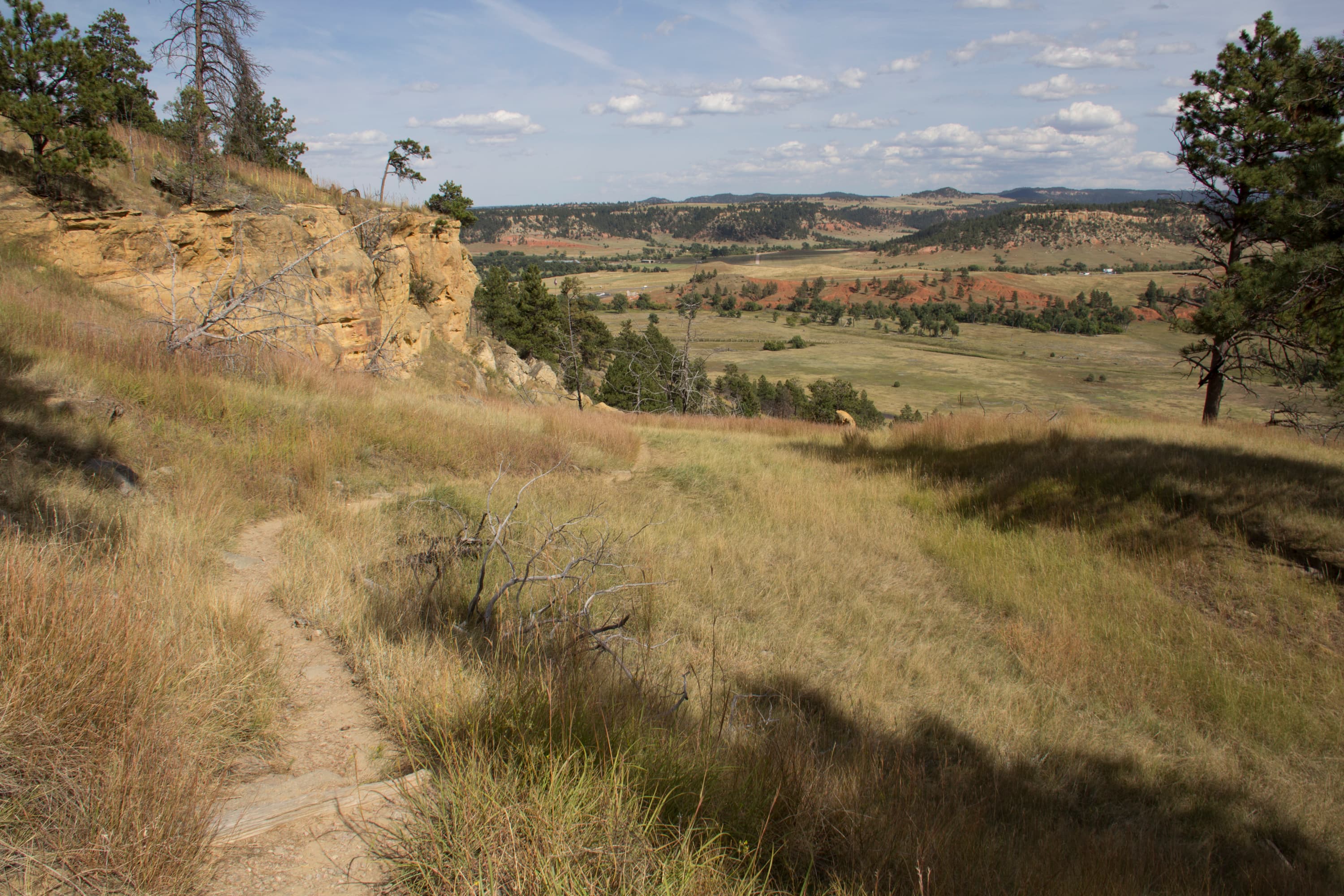 Path winding through prairie grass, with cliff face, red rocks, and pine trees in background.