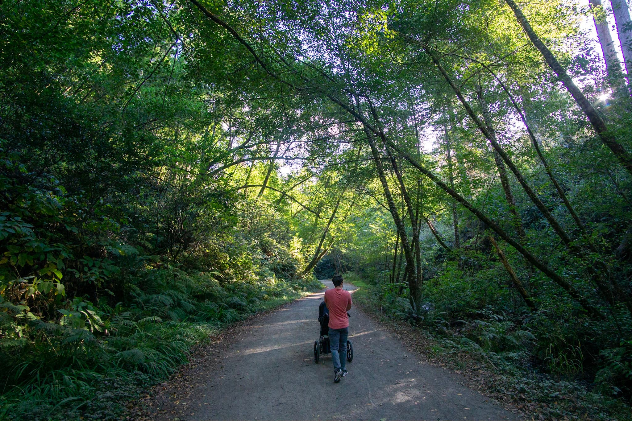 A man pushing a stroller down a gravel path bordered by green leafy trees
