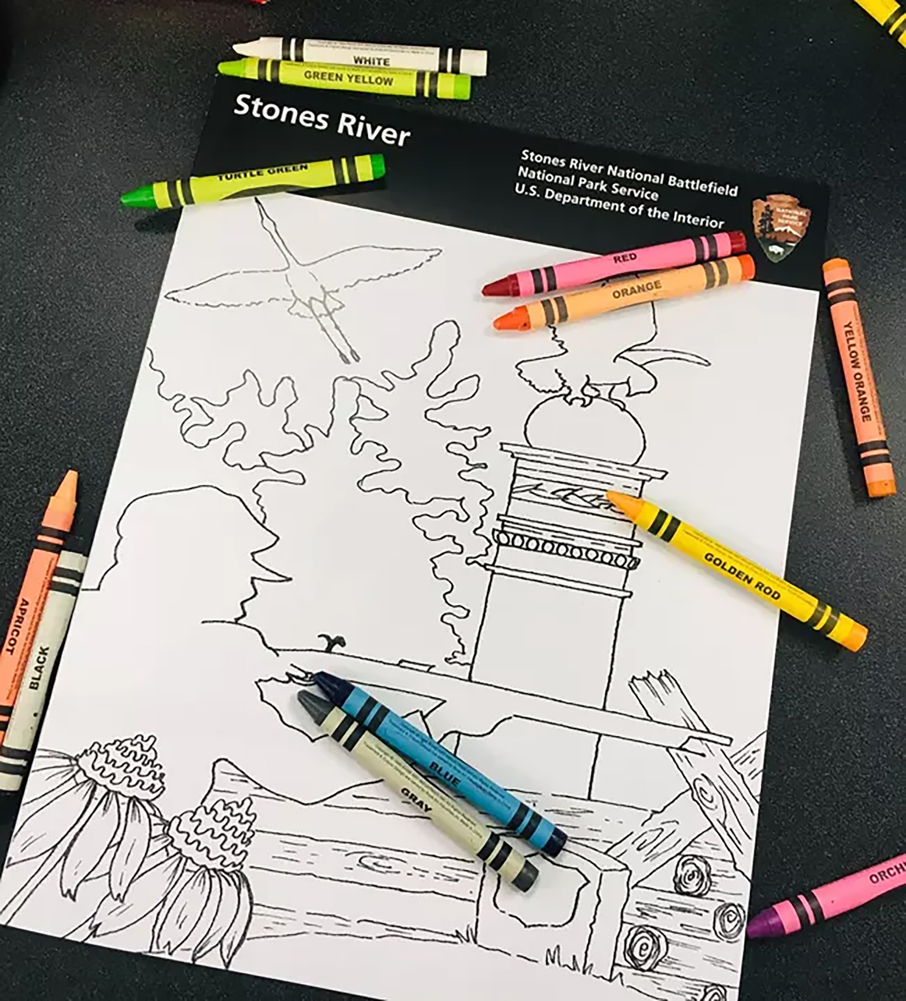 Crayons of several colors on a book with drawings of monuments, plants and animals.